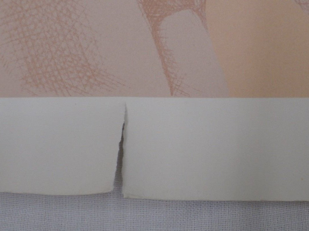 Bob Pardo Signed Artist Proof 3 of 35 "Backbend" 1978 Pop Art Nude Woman 27 x 35