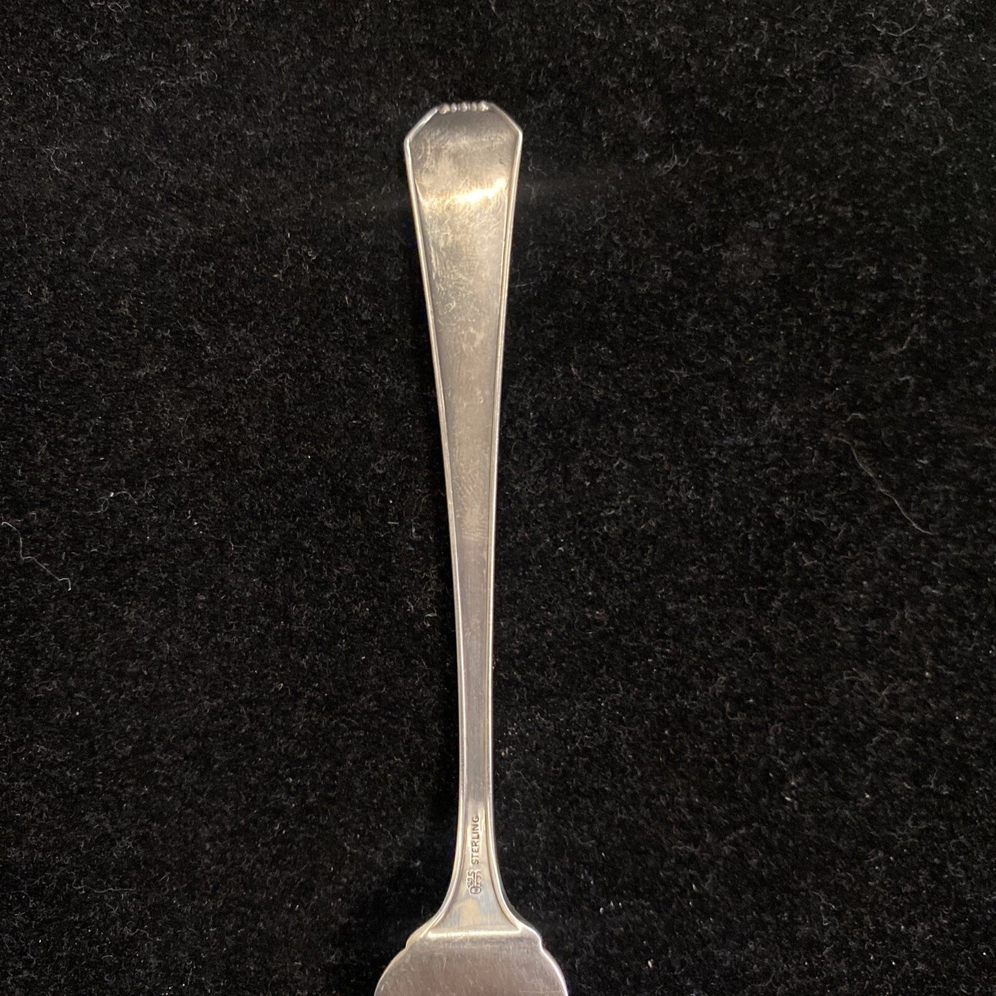 Gorham Whiting Master Butter 7 1/4'' Solid Sterling Silver 35g