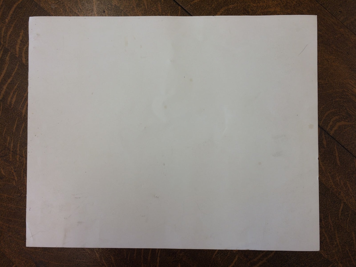 Bruce Horan "Skullboard" 16"x 20" Screen Print Signed 12 of 25 Limited Ed Skull