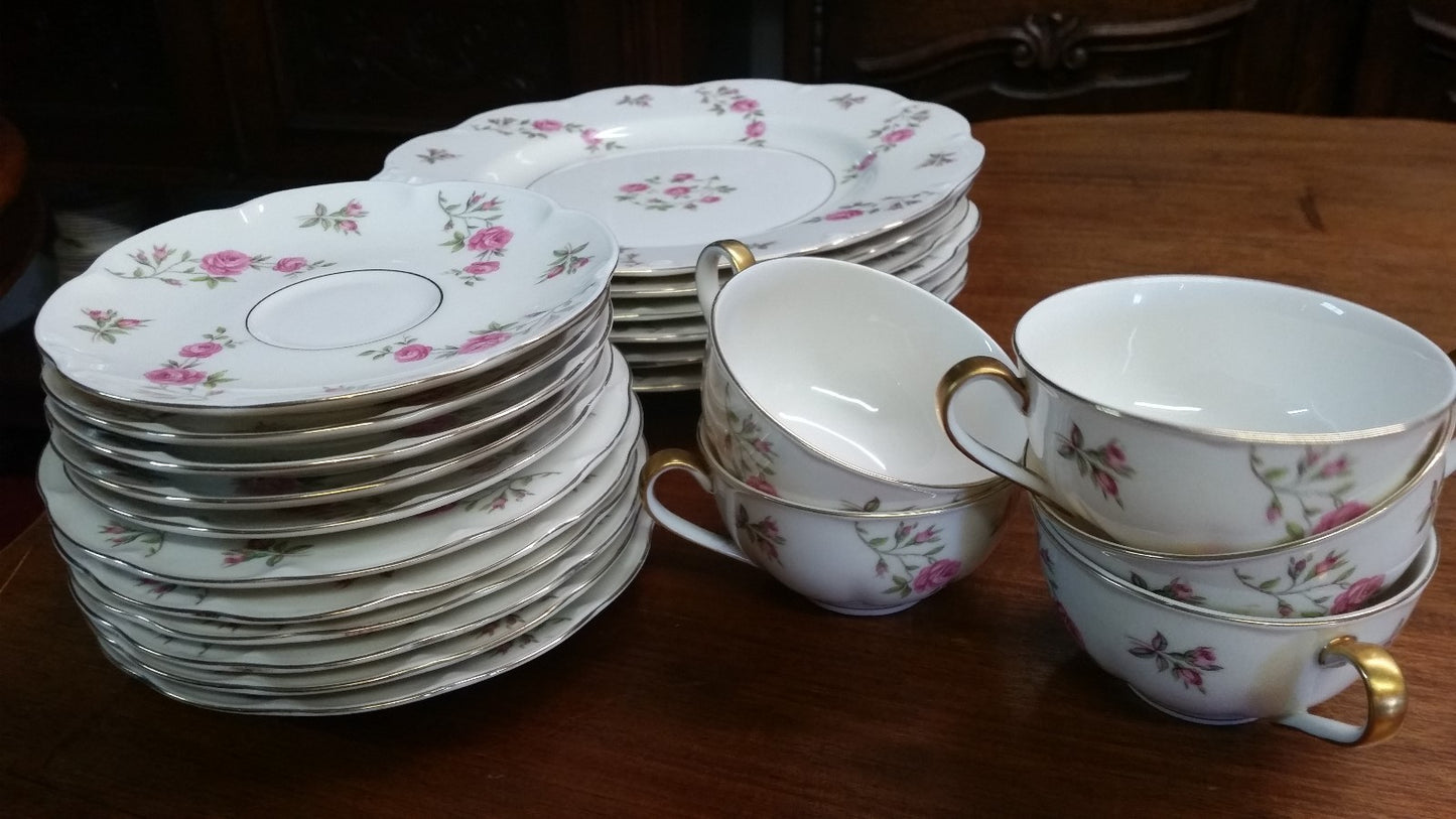 22 Pieces THEODORE HAVILAND DELAWARE (NEW YORK) 6 dinner & 6 b b plates, 5 C&S