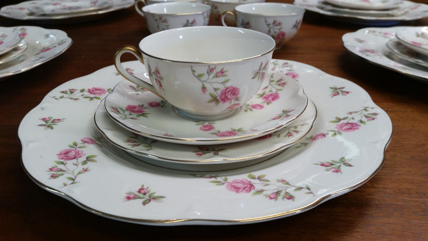 22 Pieces THEODORE HAVILAND DELAWARE (NEW YORK) 6 dinner & 6 b b plates, 5 C&S