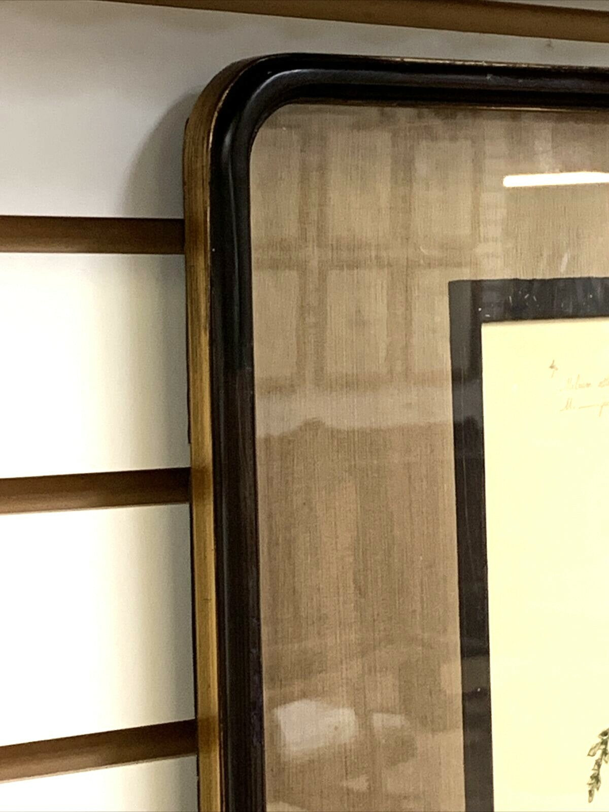 Set of 3 John Richard Botanical Prints W 22 "x H 25" Ornamental Grasses Framed