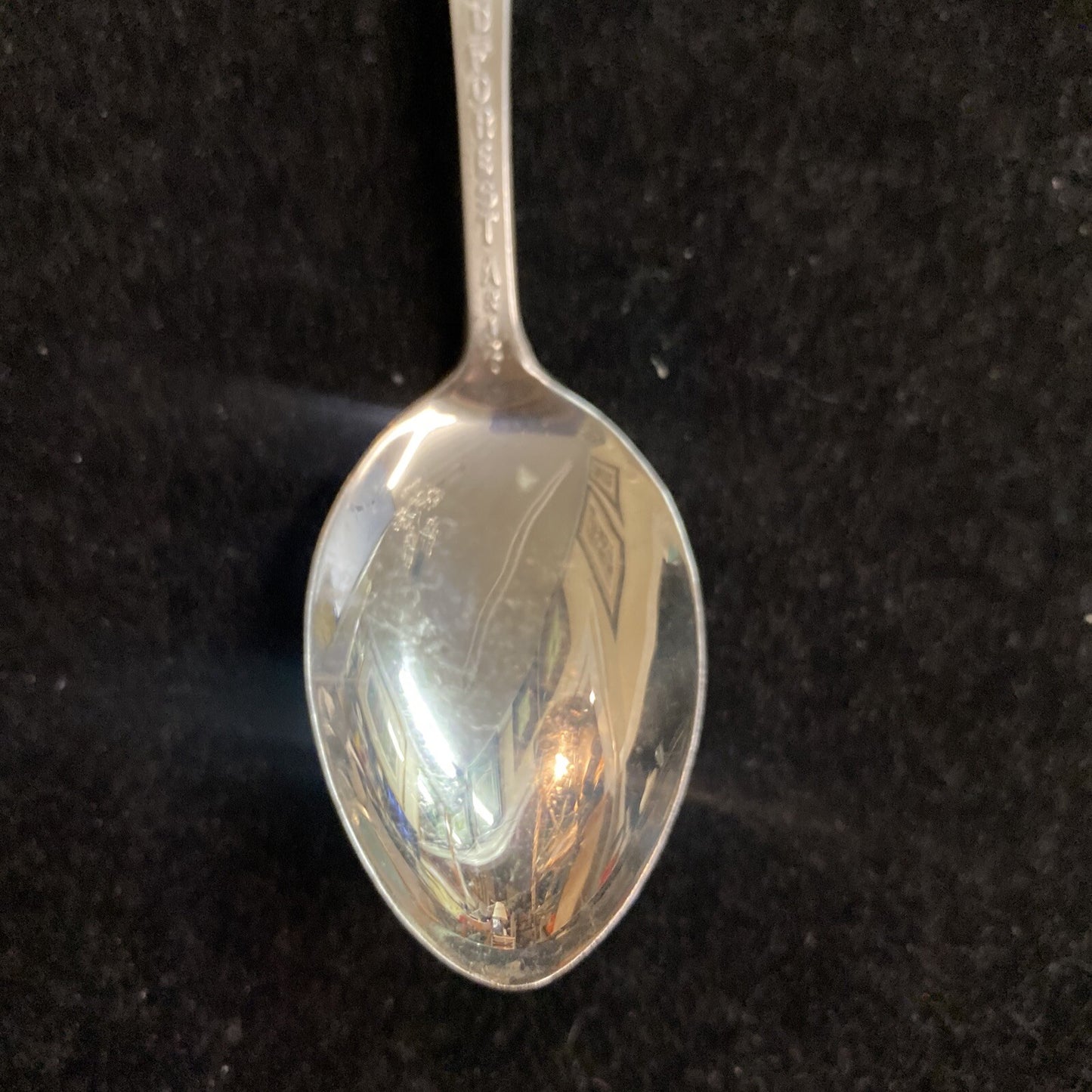 Vintage 5 1/2" Sterling Petrified Forest Arizona Souvenir Spoon 17.5g