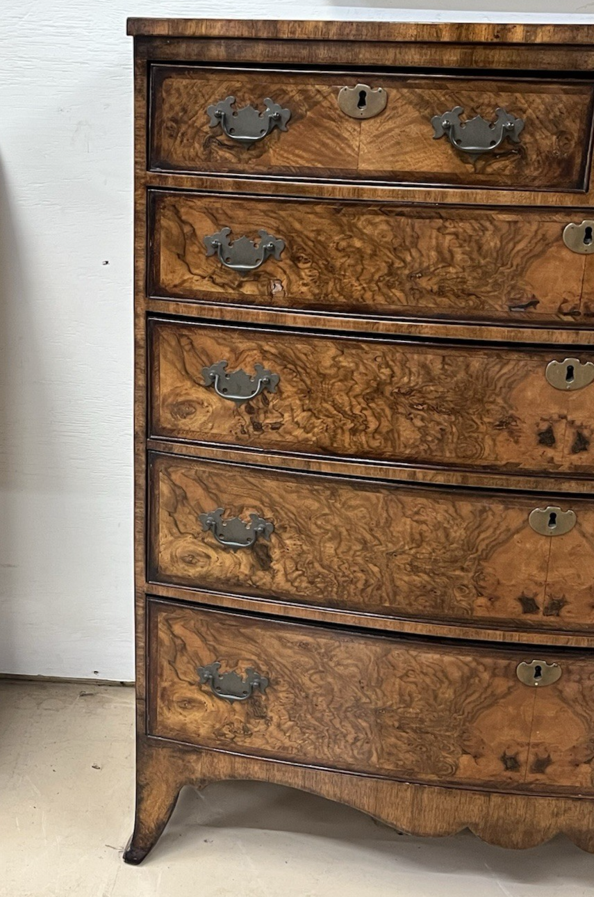 PERIOD ENGLISH REGENCY BURLED WALNUT BOW FRONT TALL CHEST OF DRAWERS