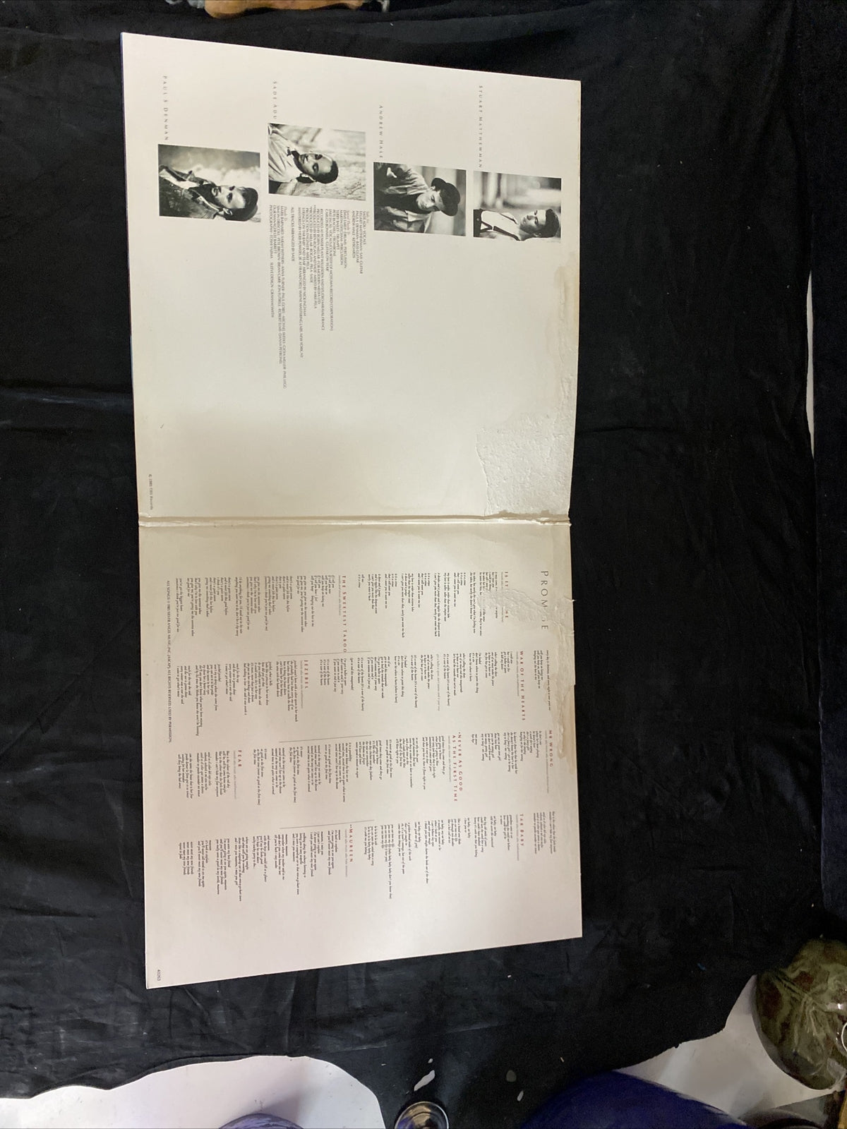 PROMO STAMPED SADE-PROMISE 1985 PORTRAIT FR 40263- VINYL LP