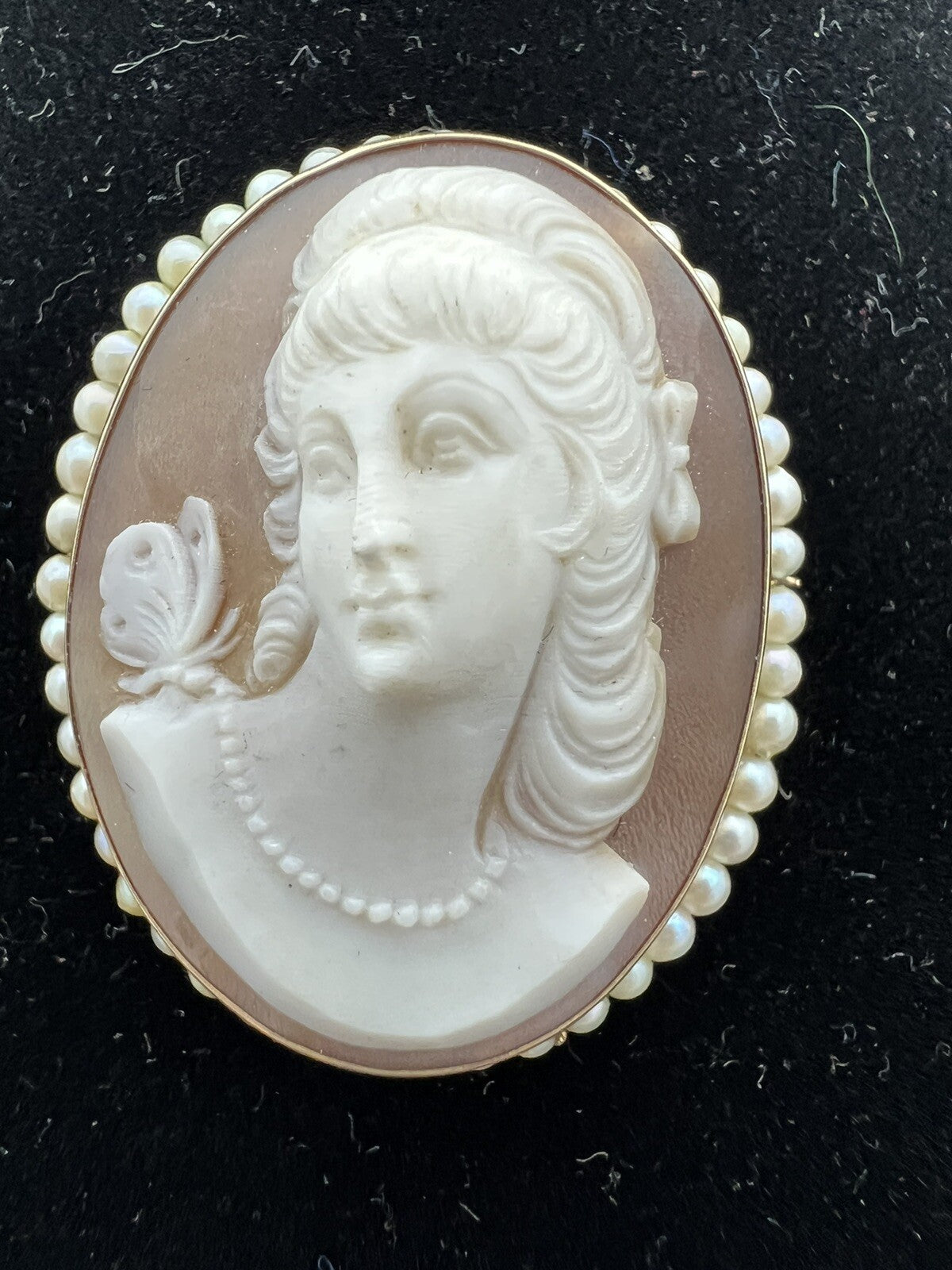 Victorian Shell Cameo Pendant Brooch 14K seed Pearls Full Face 1800's