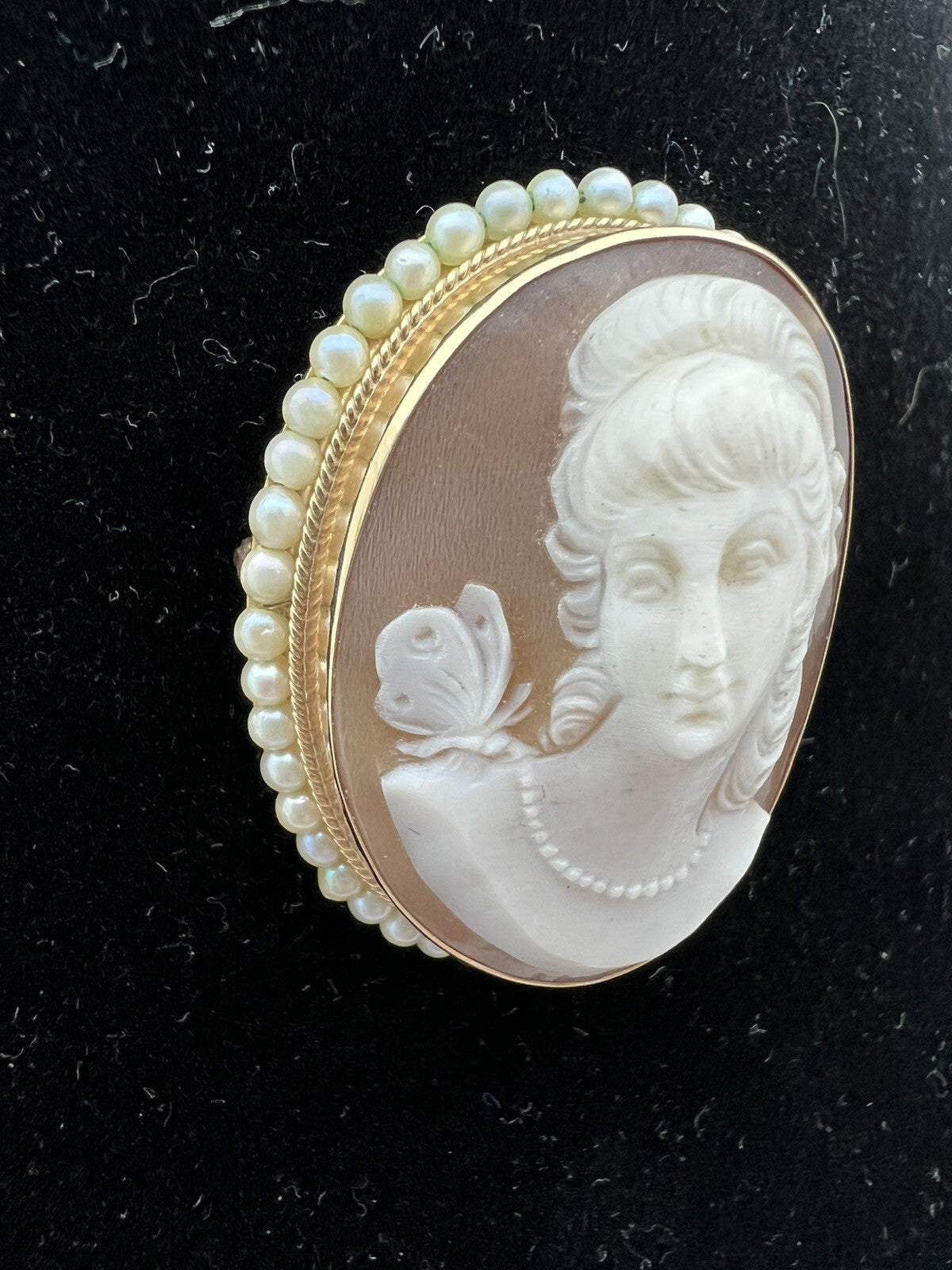 Victorian Shell Cameo Pendant Brooch 14K seed Pearls Full Face 1800's