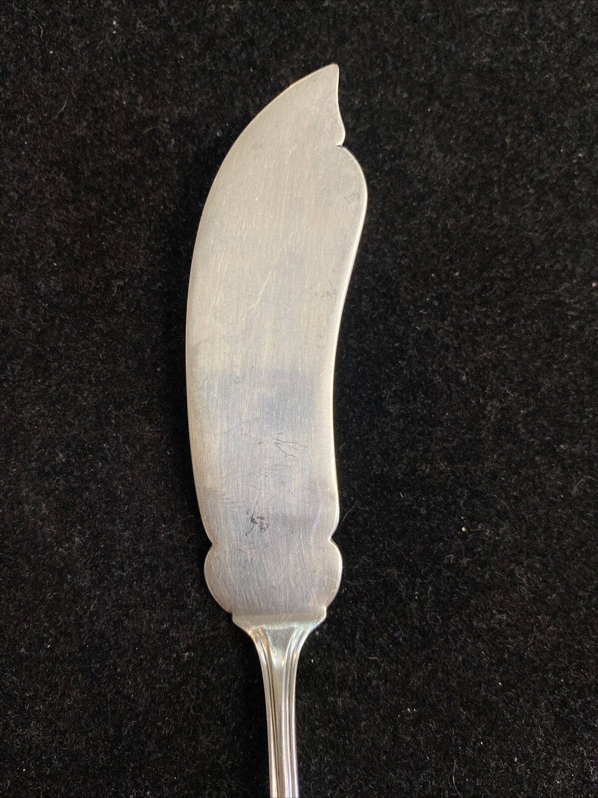 Whiting Mfg. Co. Sterling Silver 7 1/2" Master Butter Knife 35.29g
