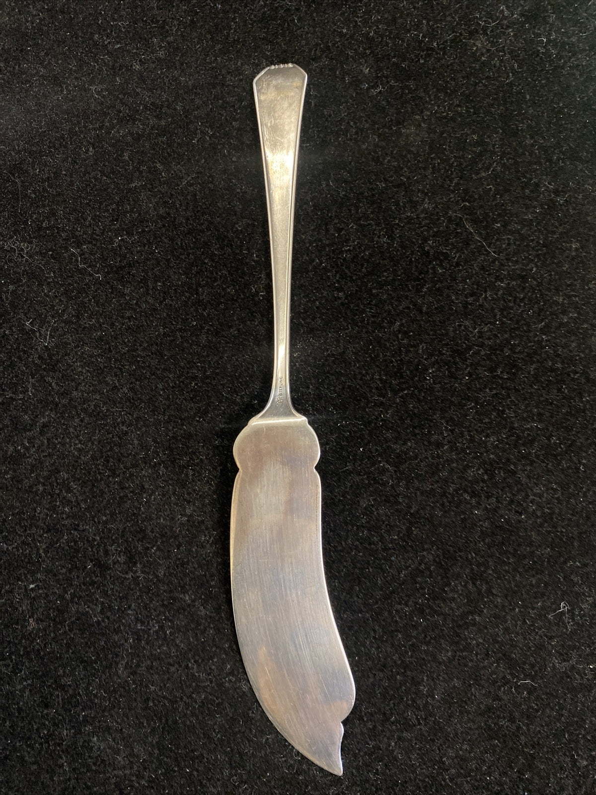 Gorham Whiting Master Butter 7 1/4'' Solid Sterling Silver 35g