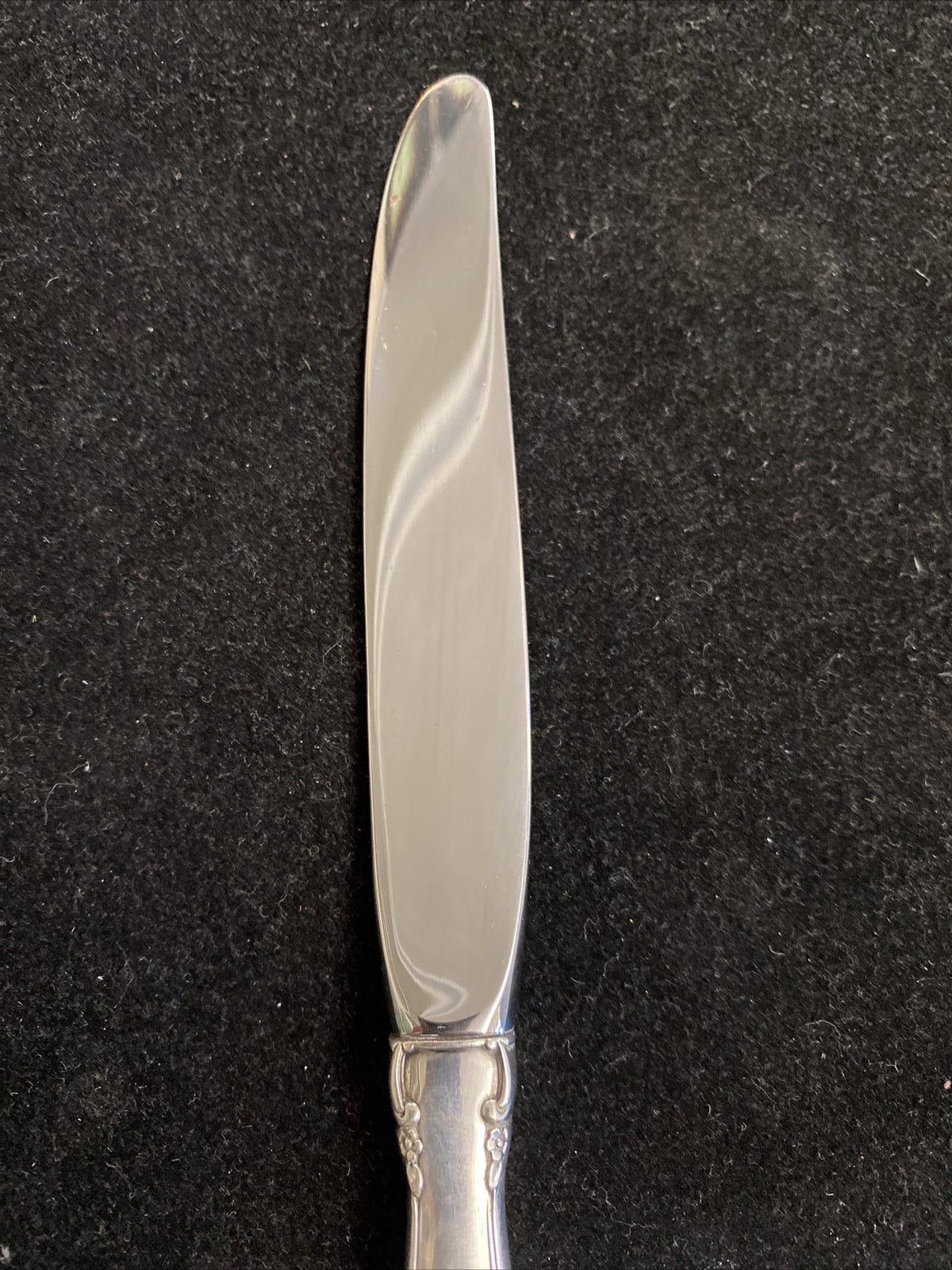 Mignonette by Lunt Sterling Silver 9 1/8" Dinner Knives 10 Avail 74.5g ea