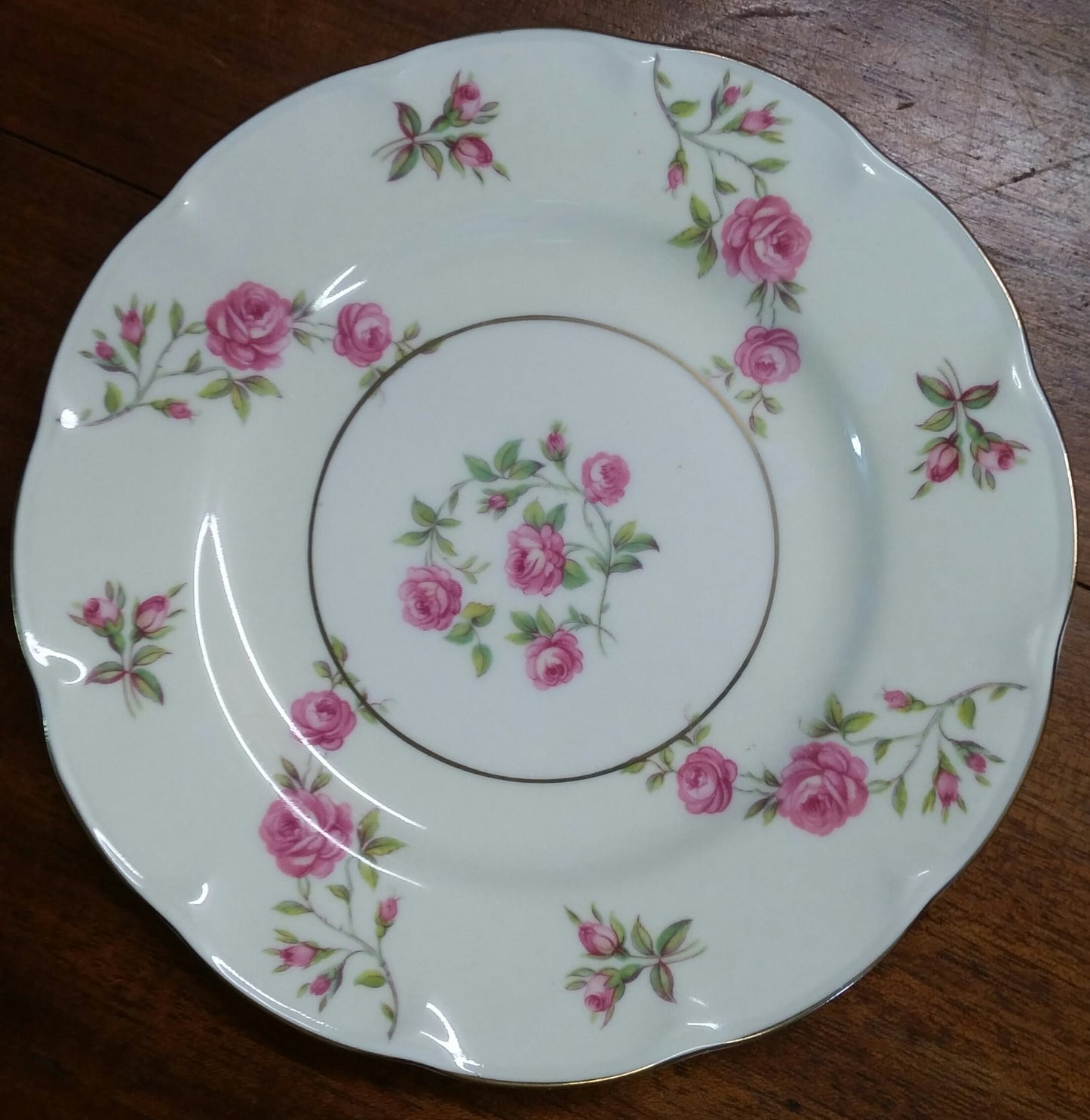 22 Pieces THEODORE HAVILAND DELAWARE (NEW YORK) 6 dinner & 6 b b plates, 5 C&S