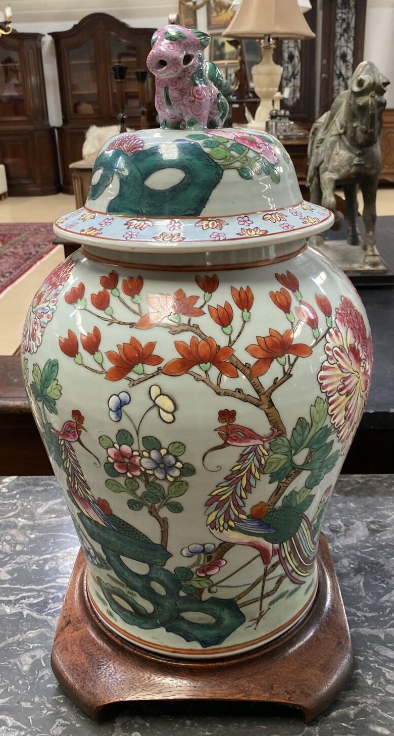 Covered Ginger Jar Famille Rose Qing Dynasty 19c Period Vase Foo Dog