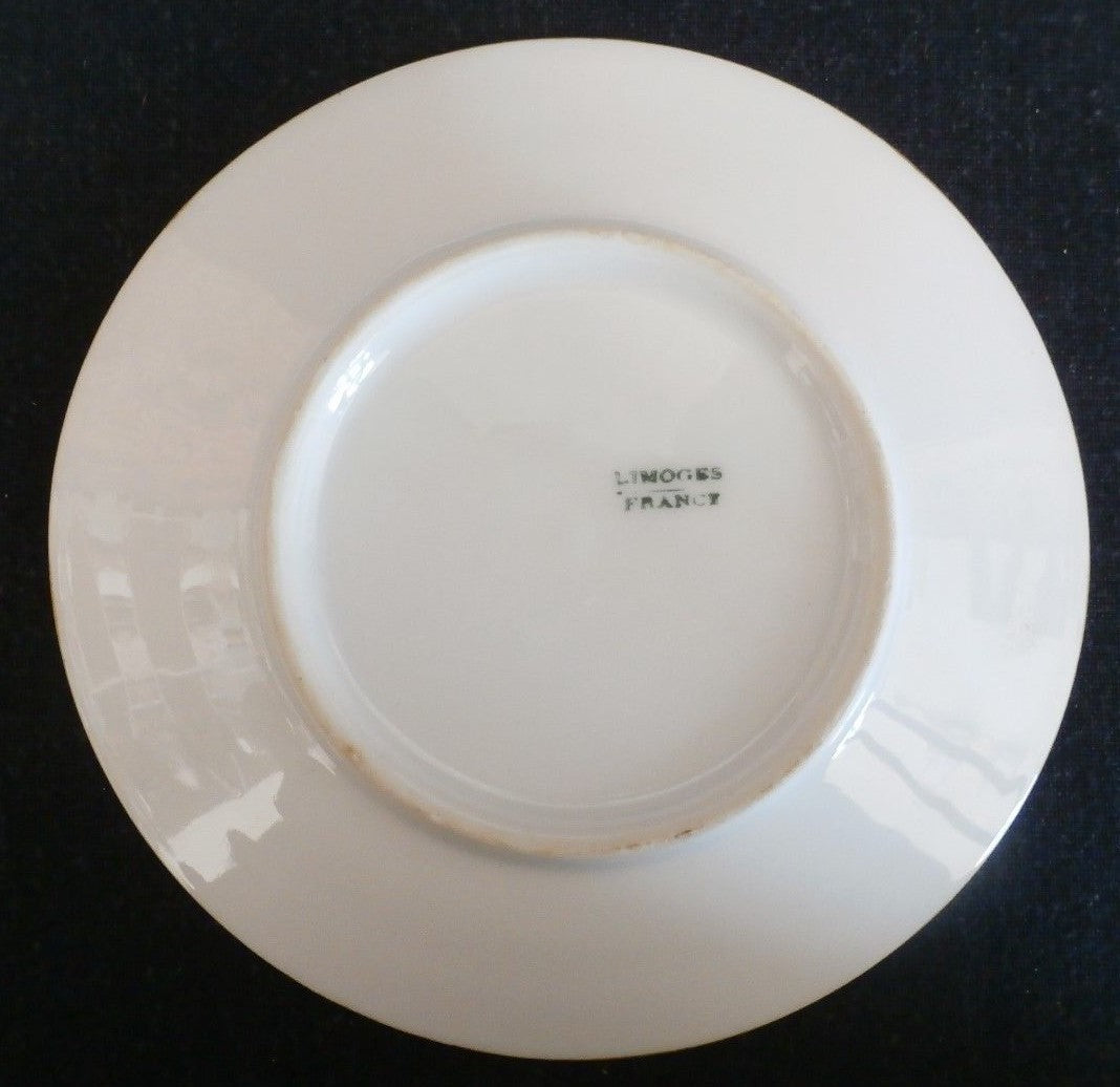 Set of 12 LIMOGES FRANCE Small Plates / Coasters 5" Hand Painted