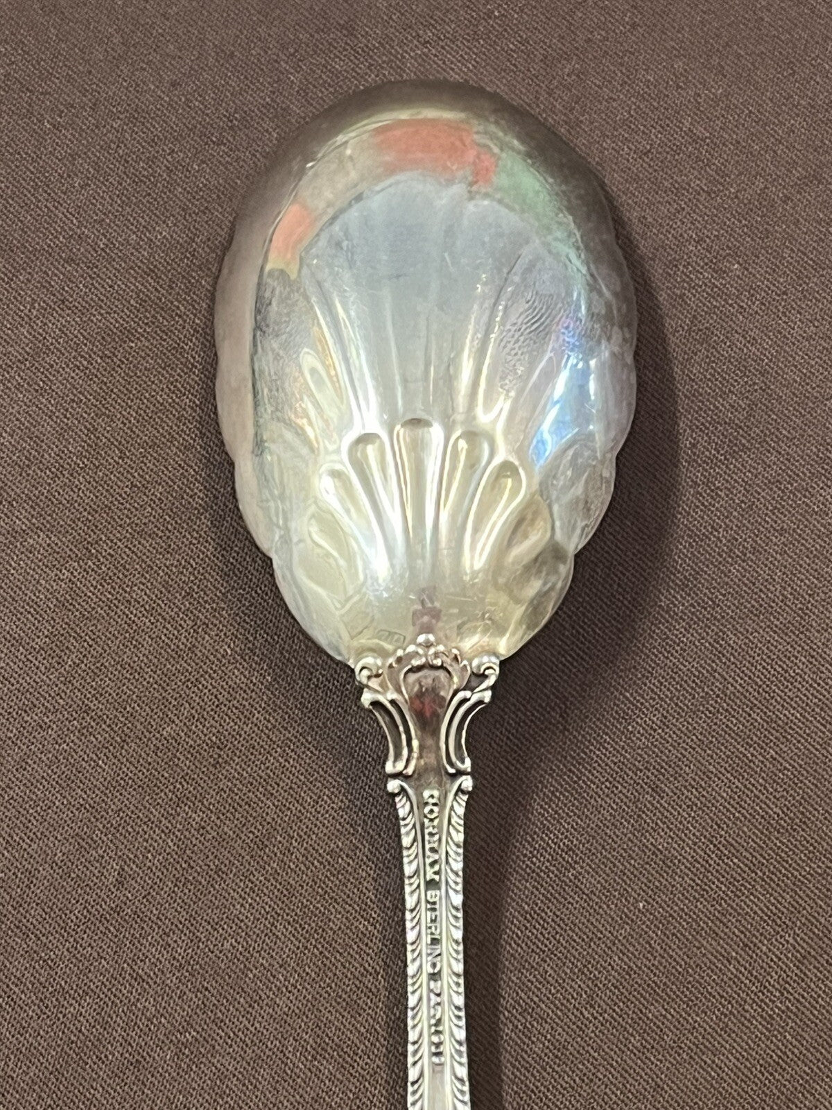 Gorham Silver English Gadroon Sterling Sugar Shell Spoon 6 1/4” 30g No Mono