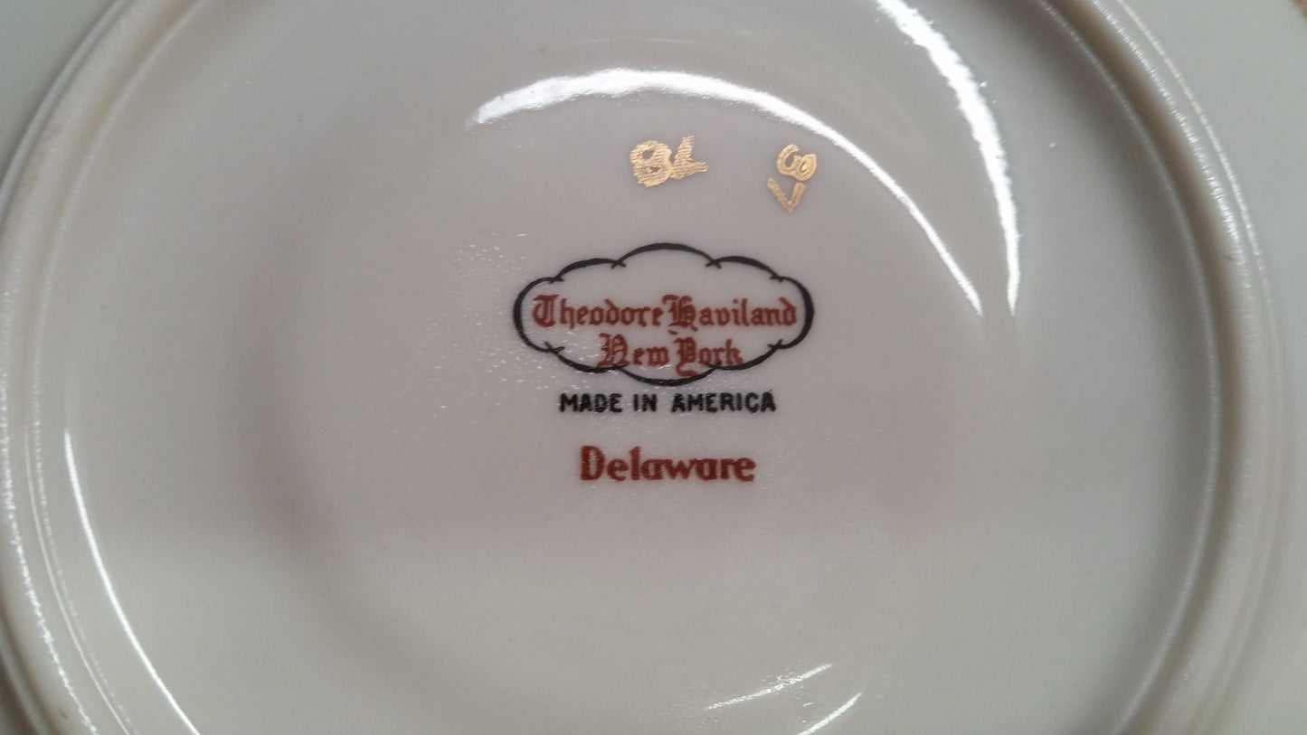 22 Pieces THEODORE HAVILAND DELAWARE (NEW YORK) 6 dinner & 6 b b plates, 5 C&S