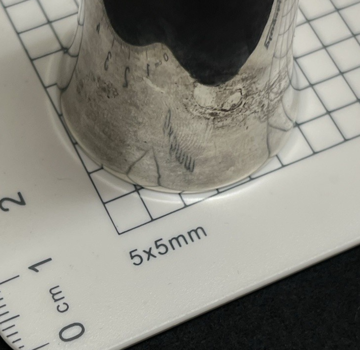 d7437028-909e-40eb-8e47-6489f9ea86b7