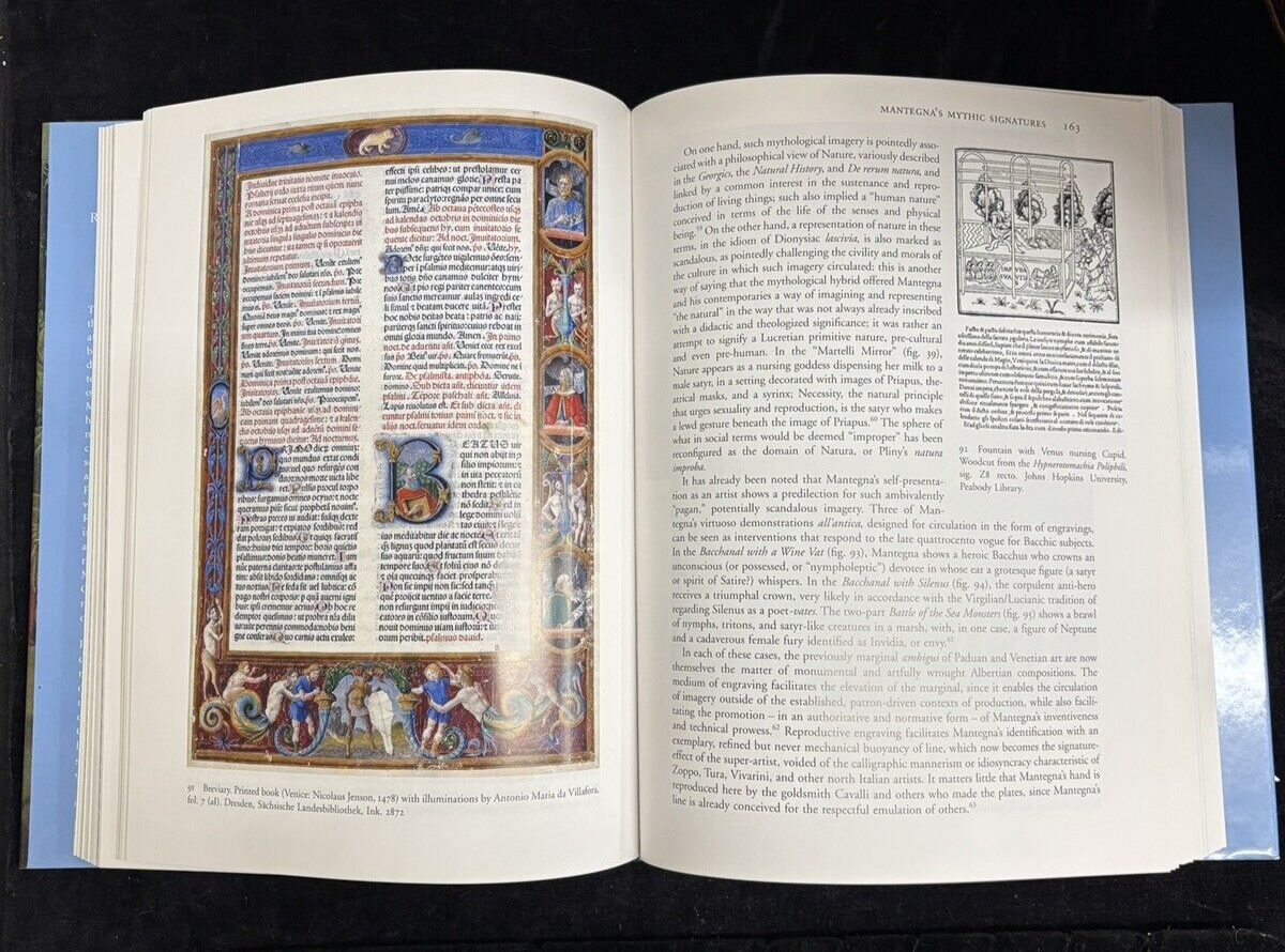 The Cabinet of Eros by Stephen J. Campbell - Yale University Press - Like New