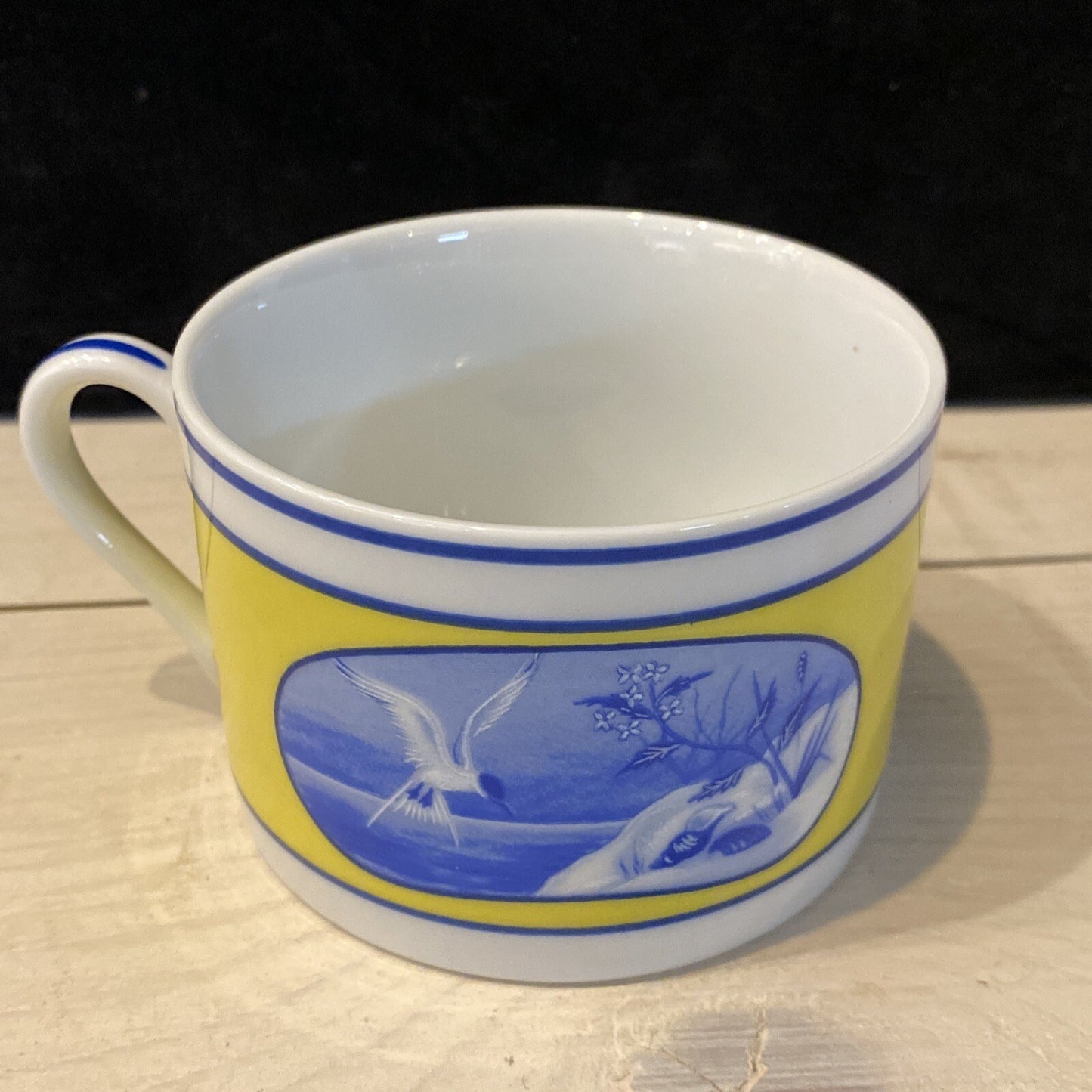 Costa Azzurra “Lynn Chase” Flat Coffee Tea Cup & Saucer  Beach