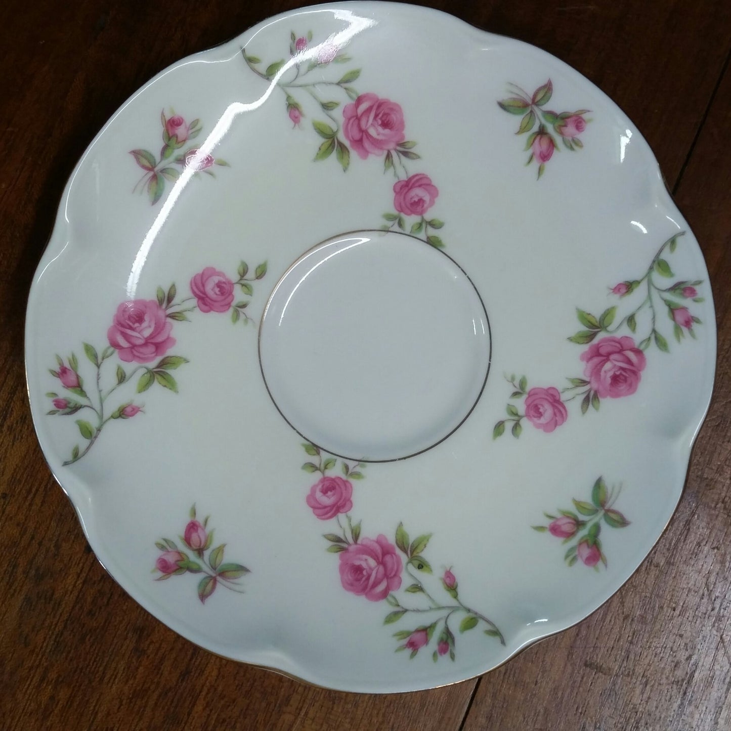 22 Pieces THEODORE HAVILAND DELAWARE (NEW YORK) 6 dinner & 6 b b plates, 5 C&S