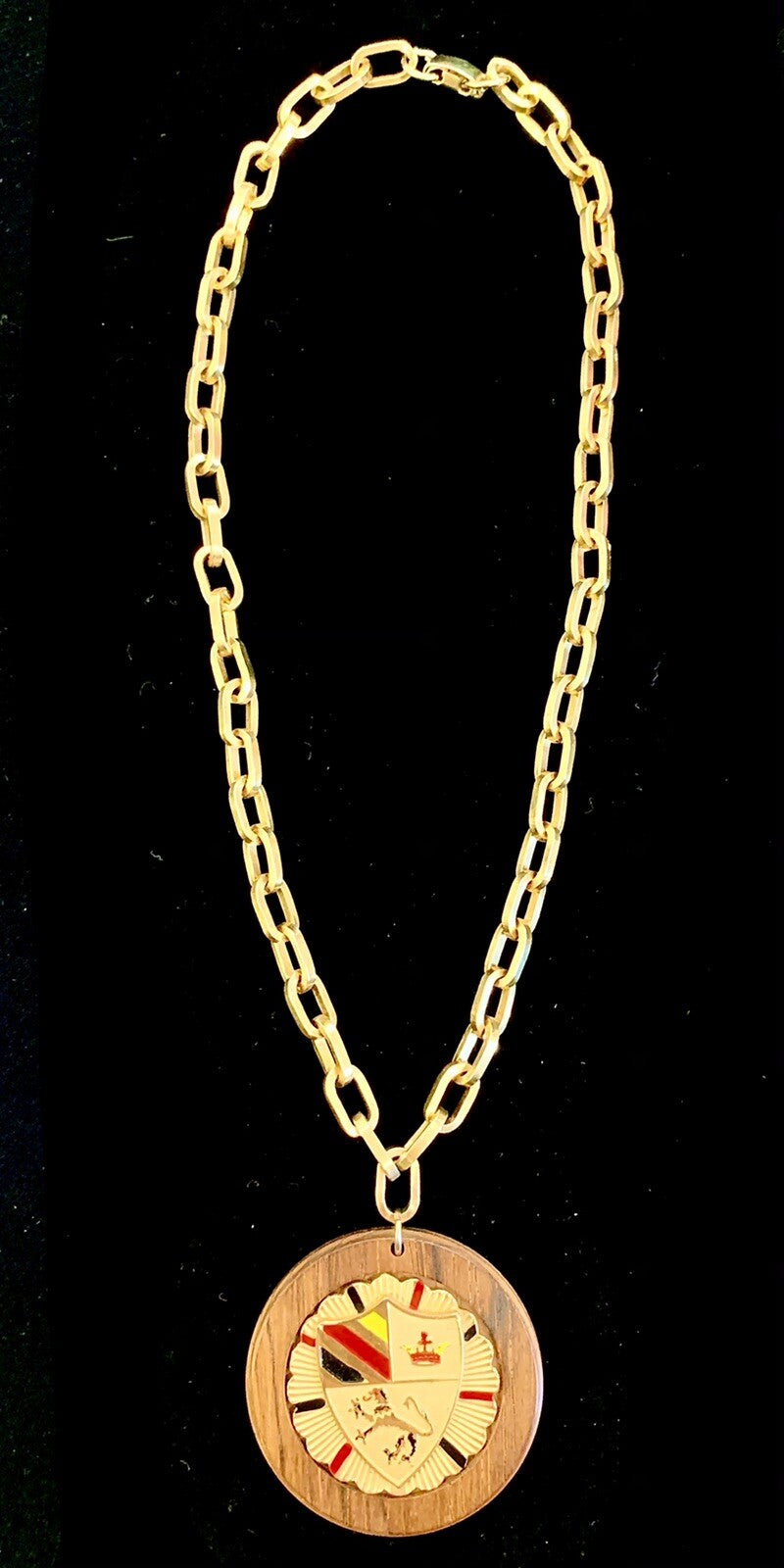 Vintage Kramer of New York Necklace and Clip Earrings Lion Coat Of Arms Heraldic