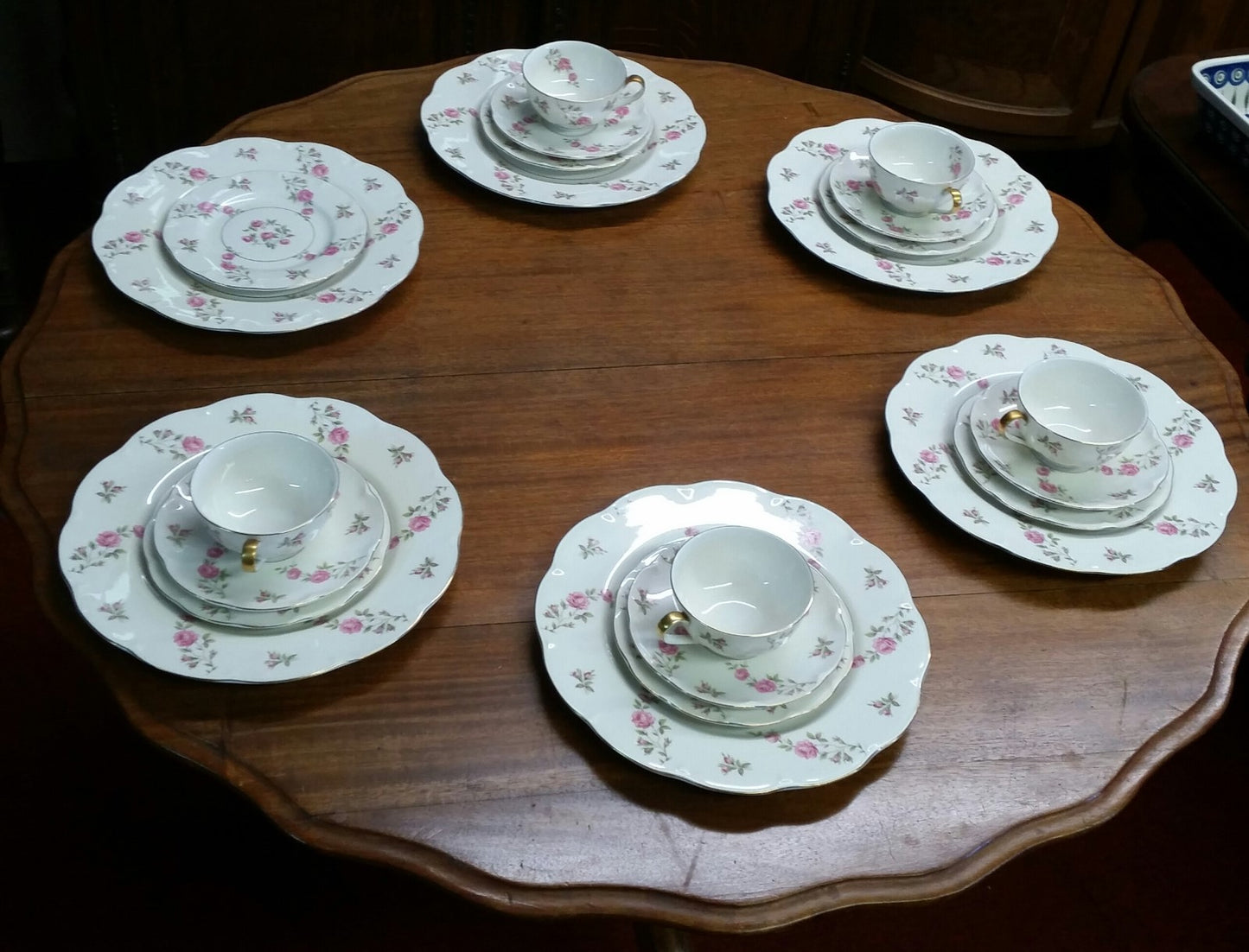22 Pieces THEODORE HAVILAND DELAWARE (NEW YORK) 6 dinner & 6 b b plates, 5 C&S