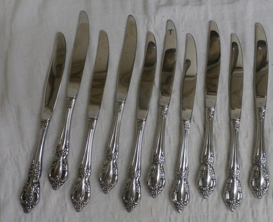 10 ONEIDA RAPHAEL STAINLESS STEEL Dinner KNIVES  retail $100