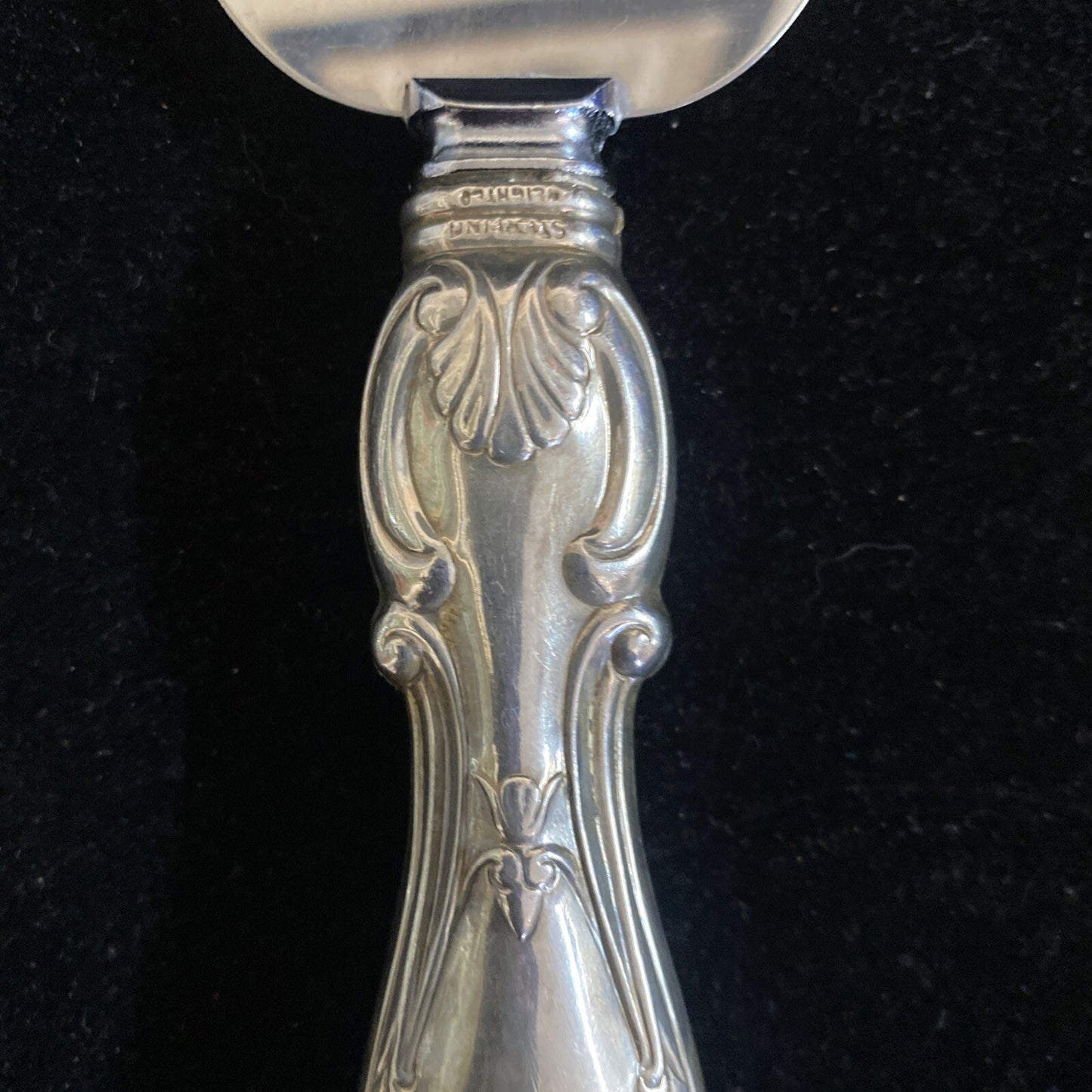 Whiting/Gorham Prince Albert Sterling Silver 10" Cake/Pie Server