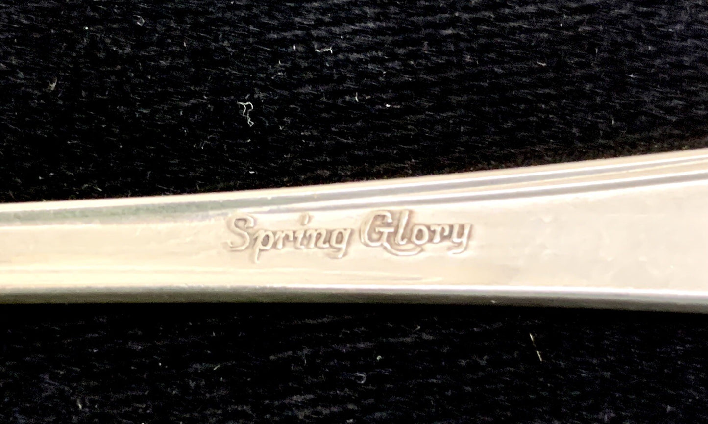 International Sterling Silver Spring Glory Bouillon Round Bowl Soup Spoon 5.75"