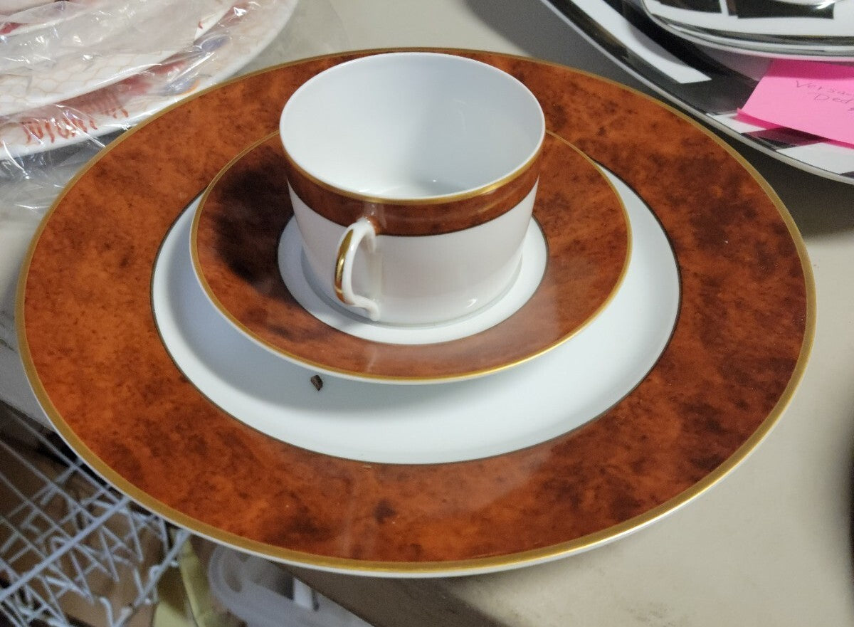 Limoges Haviland "Marco Polo" Dinner Plate Cup & Saucer $170 retail France BH312