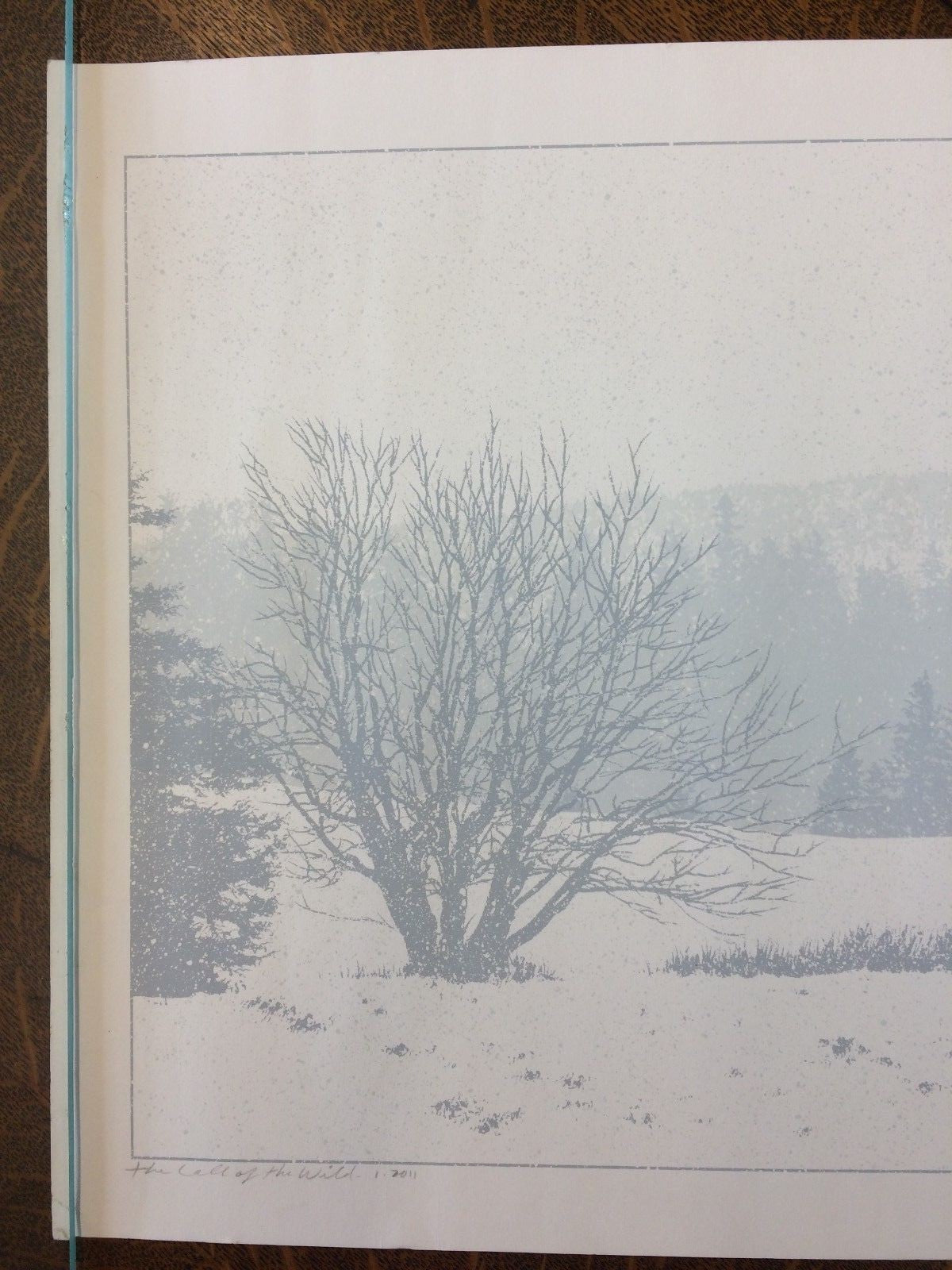 Dan McCarthy Signed Limited Edition Print #152/600 "The Call of the Wild" 14×24