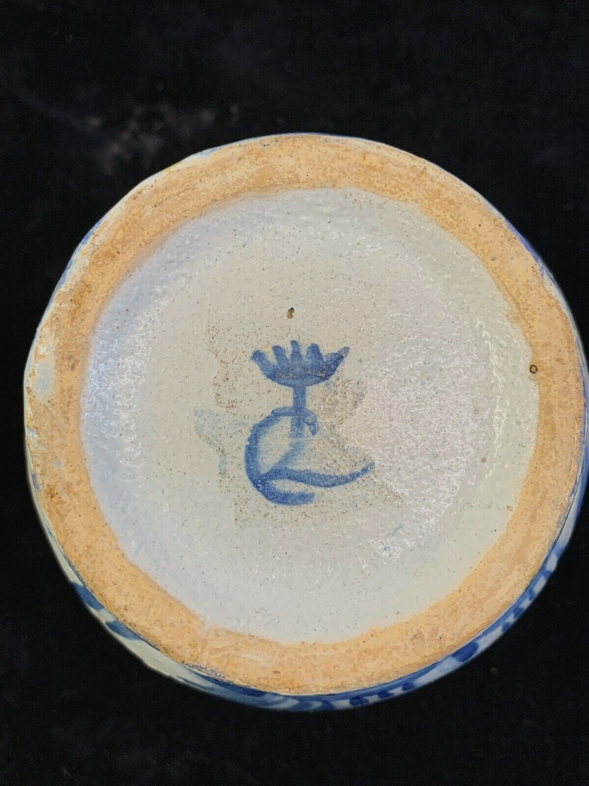 16th Century Italian Majolica Albarello Apothecary Jar by Luca Cambiaso Maiolica