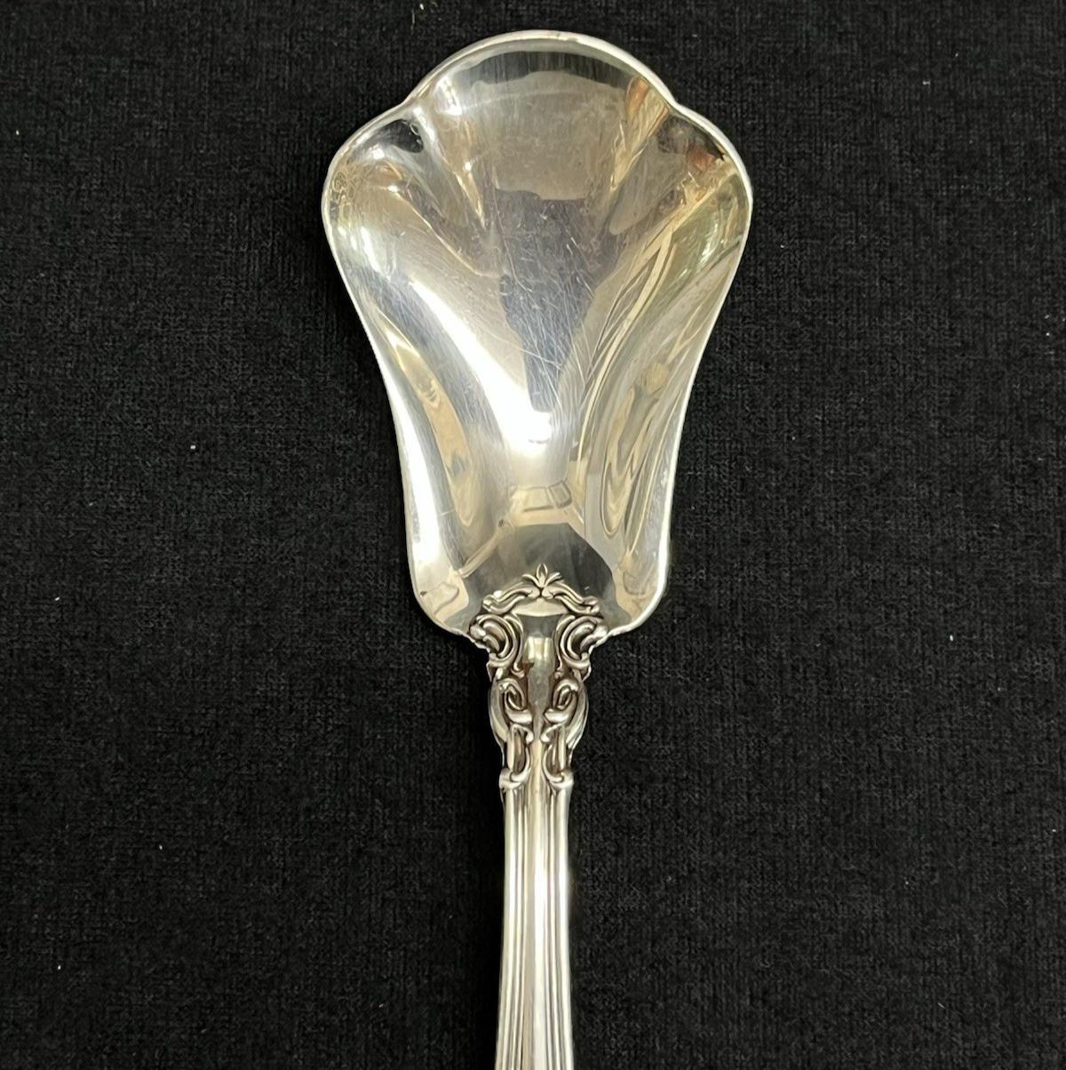 Chantilly by Gorham Sterling Silver Sugar Shell Spoon 6"