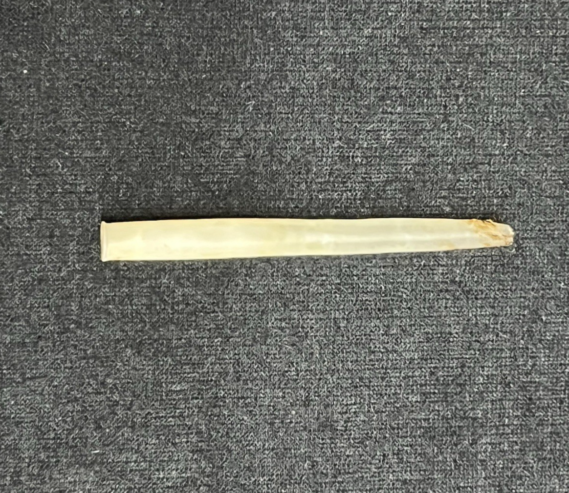 English Birmingham 1827 Briar Wood & 9k Gold Banded Cigarette Holder w/ Case