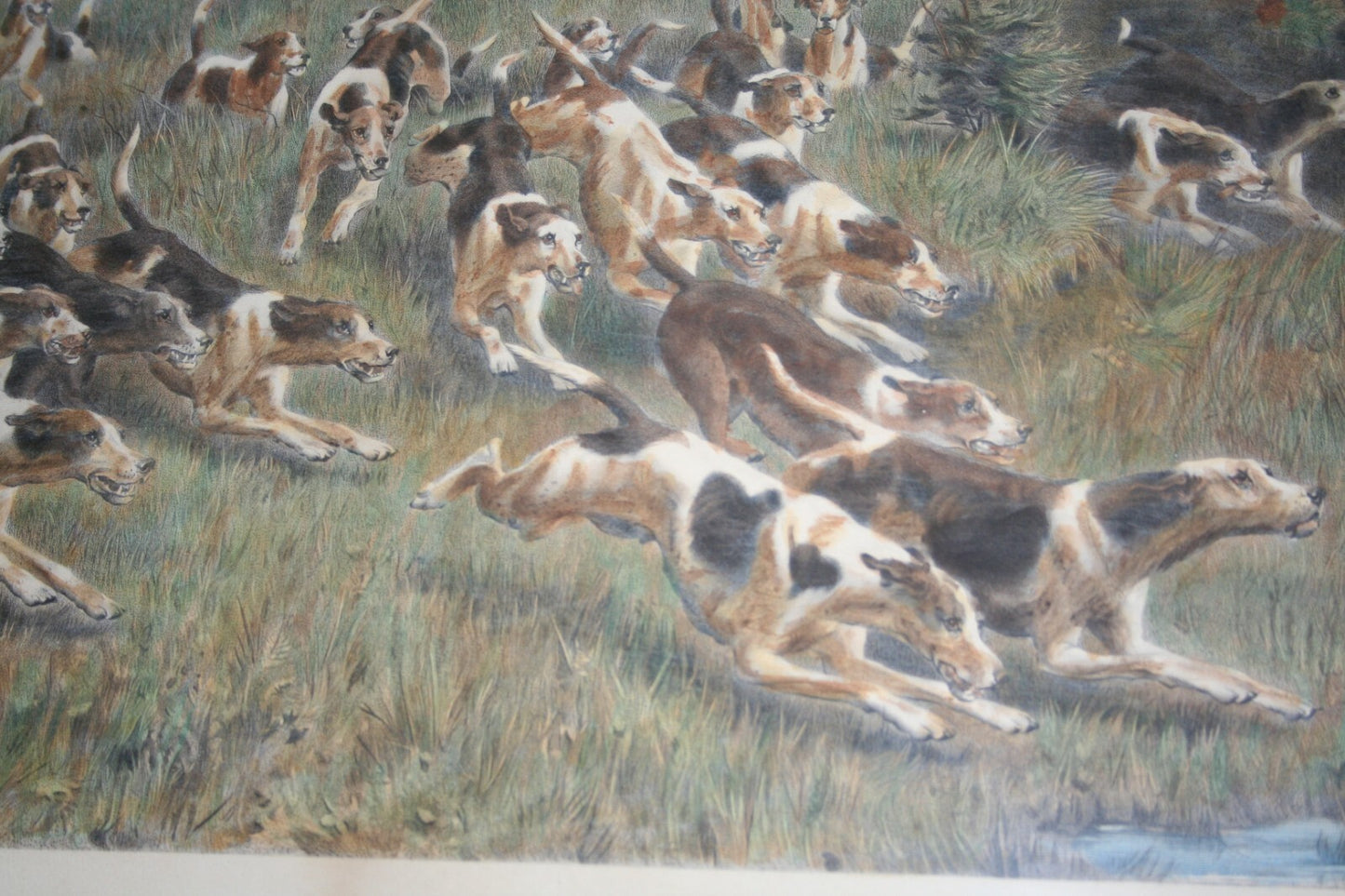 Large Framed Fox Hunt Framed Print Lithograph Engraving by Pratt 1887 Wood Frame