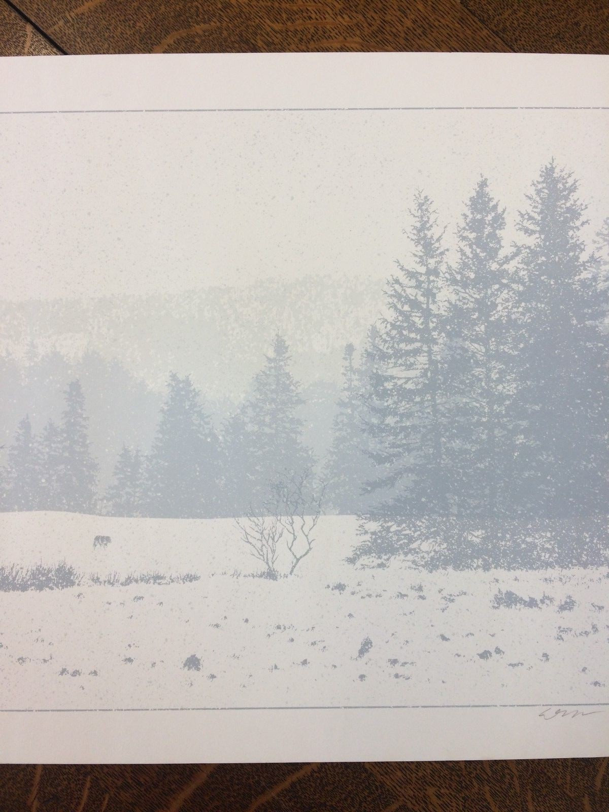 Dan McCarthy Signed Limited Edition Print #152/600 "The Call of the Wild" 14×24