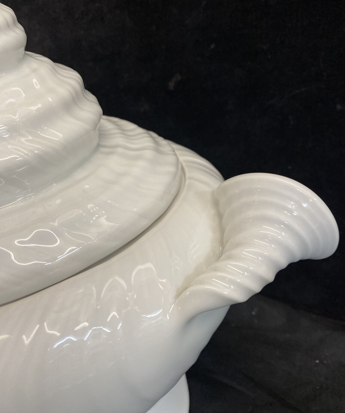 Royal Copenhagen 14180 White Shell Nautilus Konkylie Triton Tureen W 6 Bowl Set