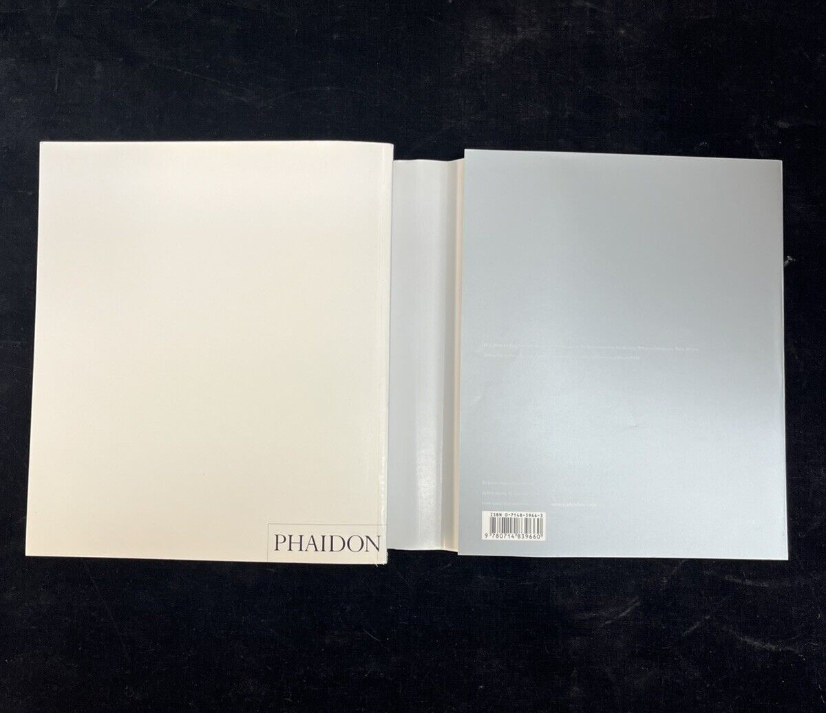 Caravaggio by Catherine Puglisi Trade Paperback Book 2000