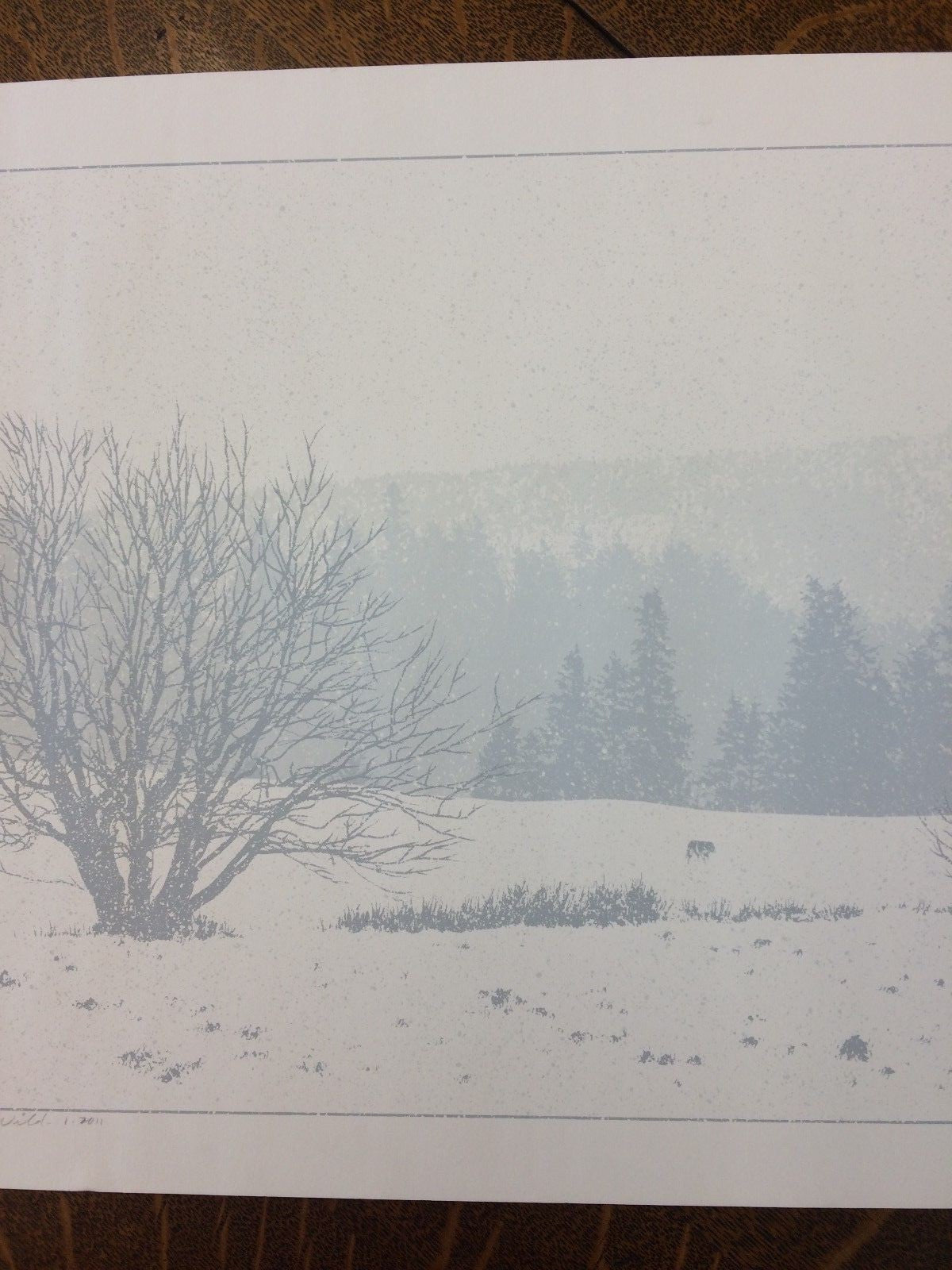 Dan McCarthy Signed Limited Edition Print #152/600 "The Call of the Wild" 14×24