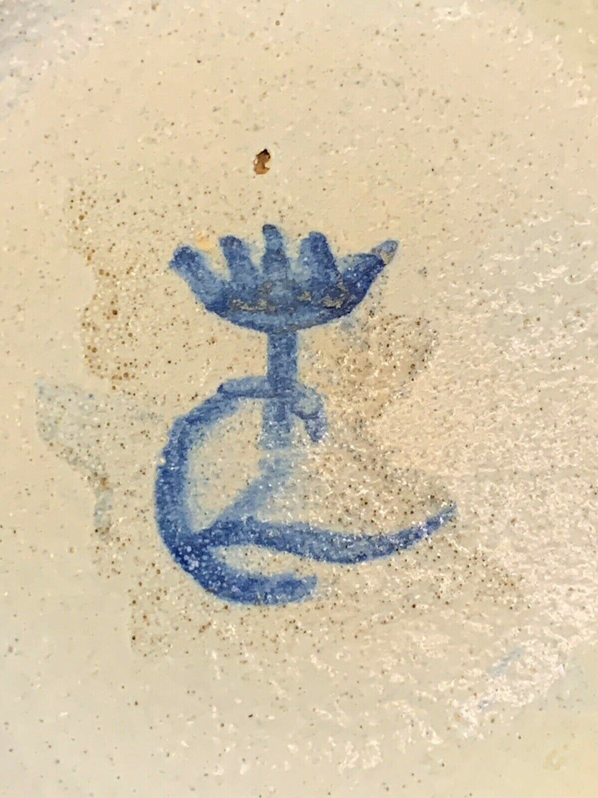 16th Century Italian Majolica Albarello Apothecary Jar by Luca Cambiaso Maiolica