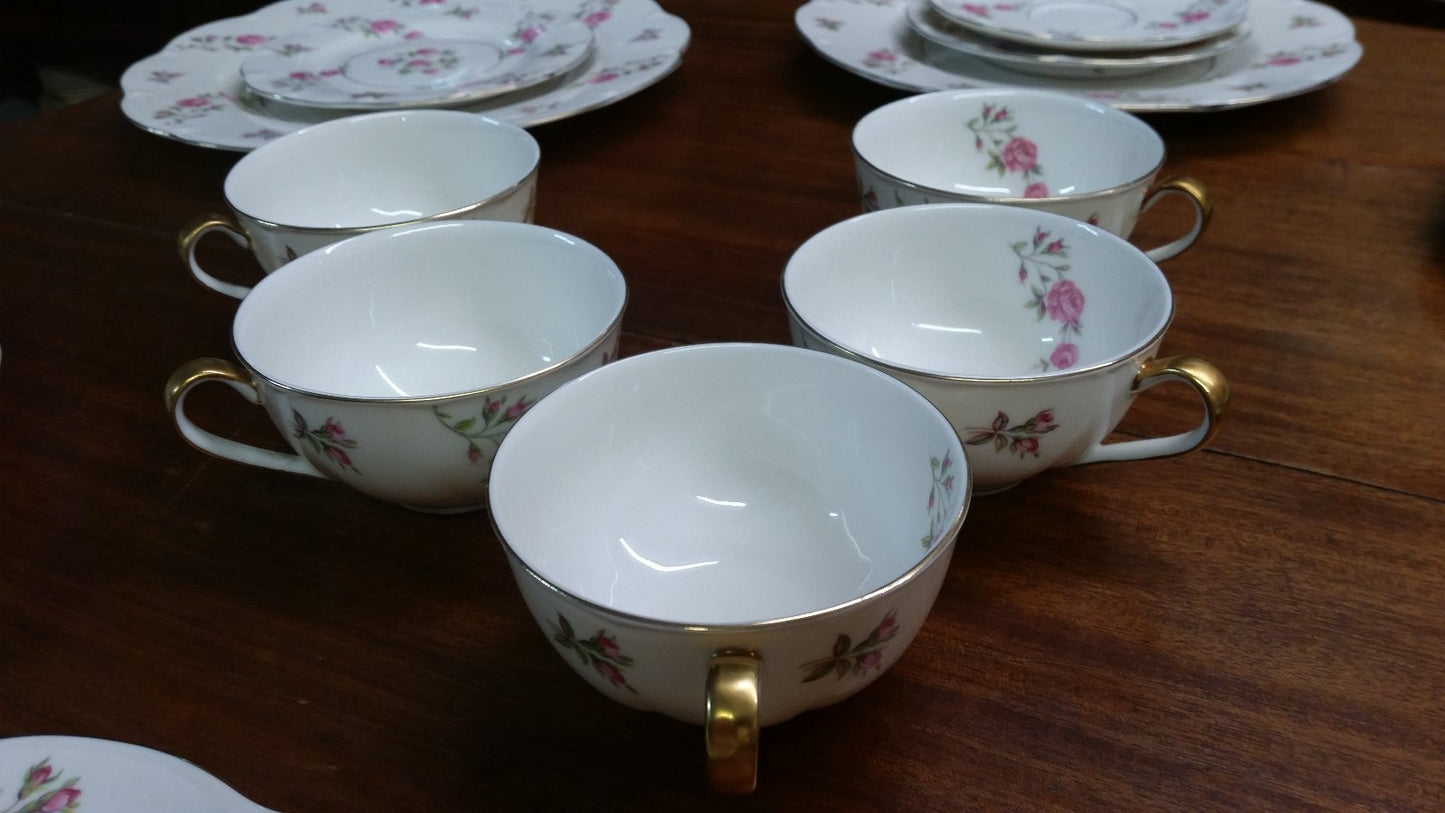 22 Pieces THEODORE HAVILAND DELAWARE (NEW YORK) 6 dinner & 6 b b plates, 5 C&S