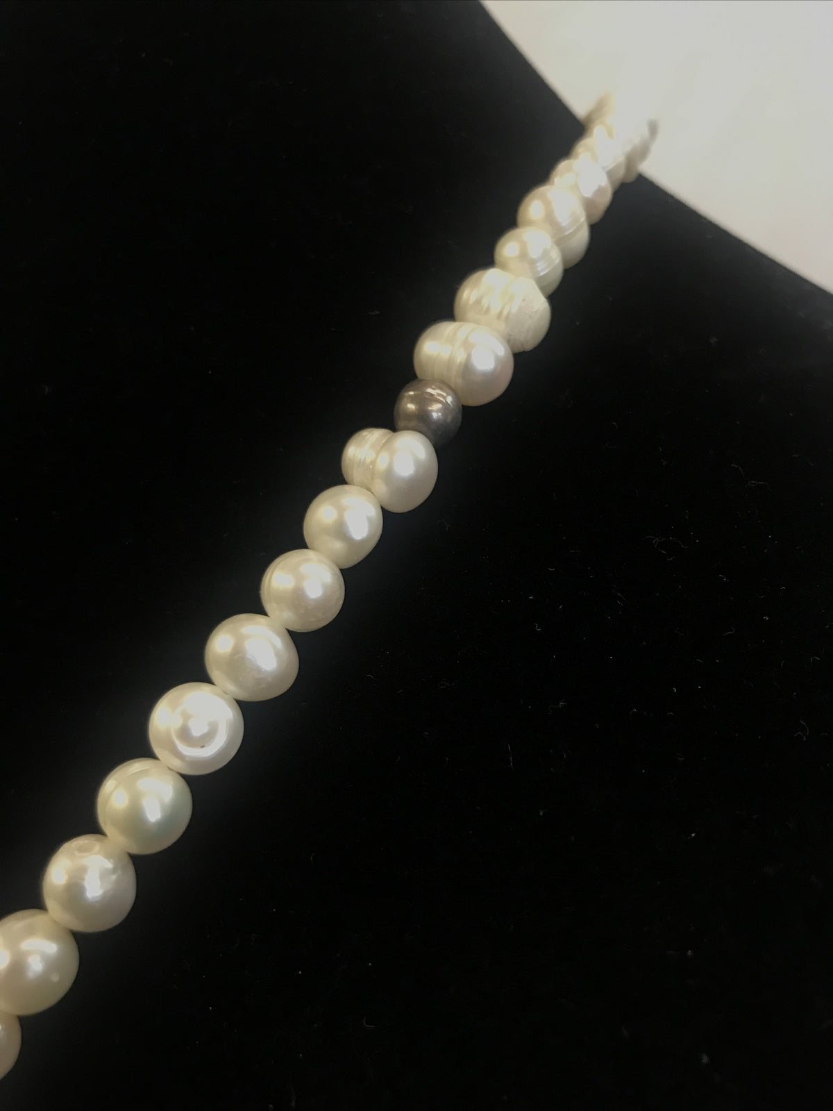 Freshwater Genuine Pearl Necklace with Vintage 2" Black White Cameo Pendant
