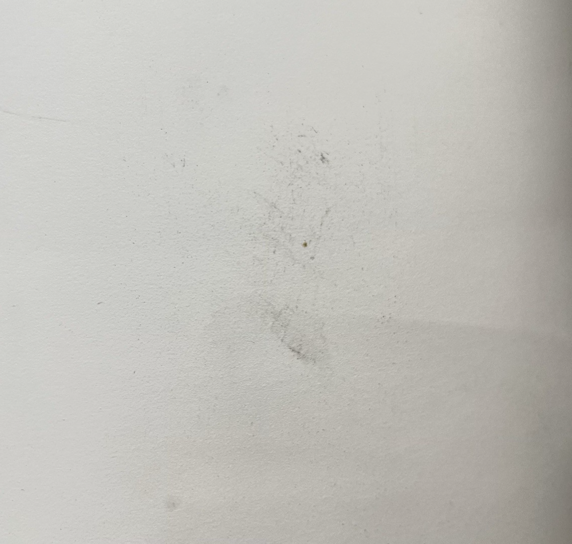 36b71109-fd6e-4966-8e75-afd0899cdd2b