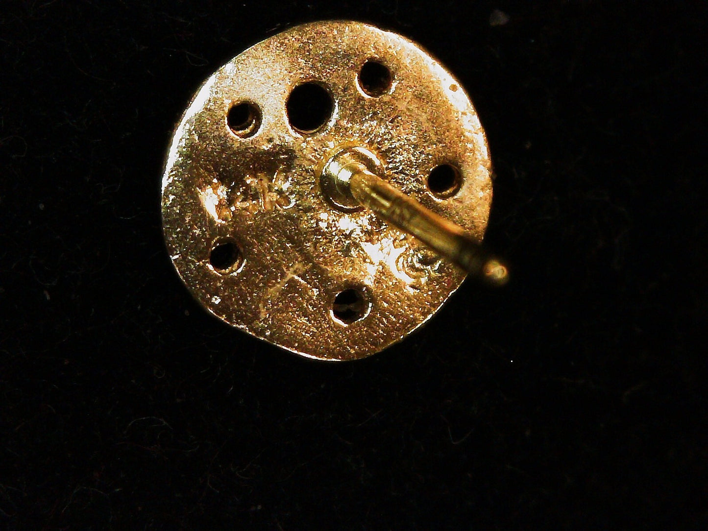 14K Yellow Gold Sand Dollar Stud Earrings .78g 6.99mm