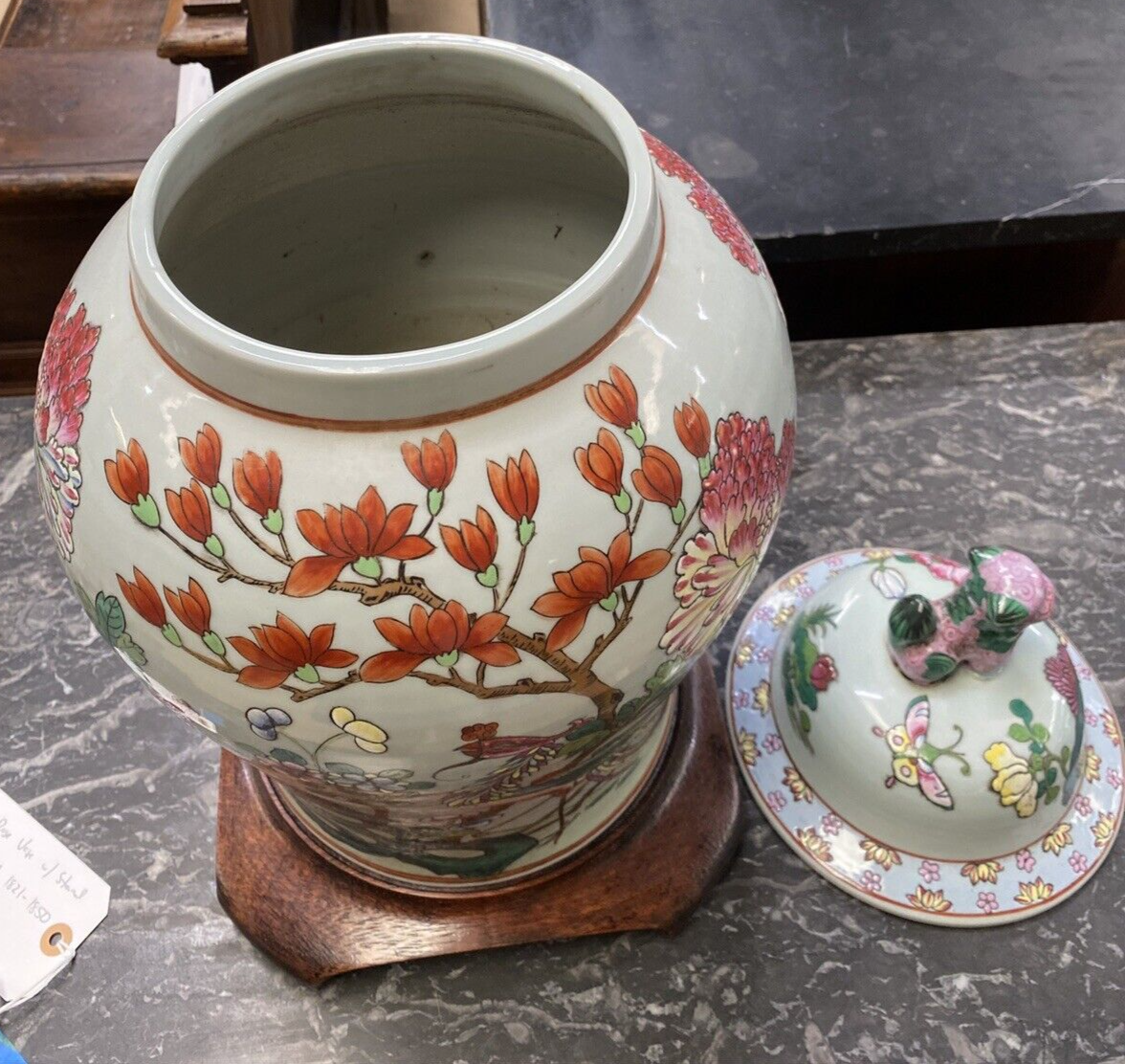 Covered Ginger Jar Famille Rose Qing Dynasty 19c Period Vase Foo Dog