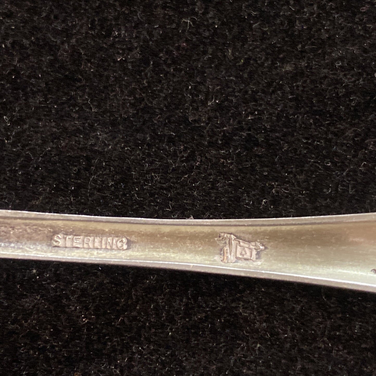 Vintage 5 1/2" Sterling Petrified Forest Arizona Souvenir Spoon 17.5g