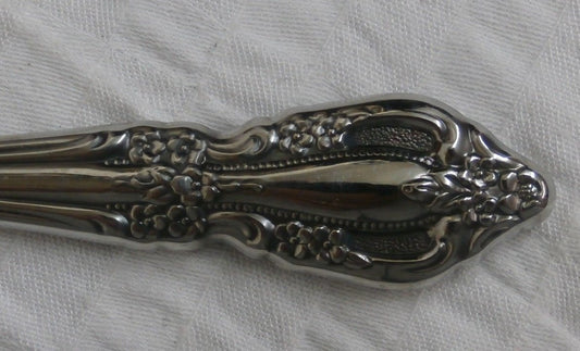 10 ONEIDA RAPHAEL STAINLESS STEEL Dinner KNIVES  retail $100