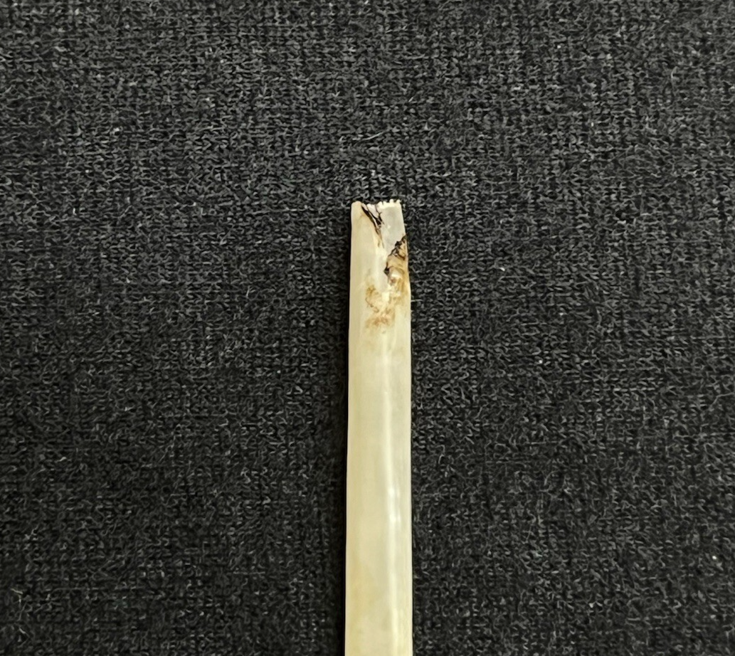 English Birmingham 1827 Briar Wood & 9k Gold Banded Cigarette Holder w/ Case