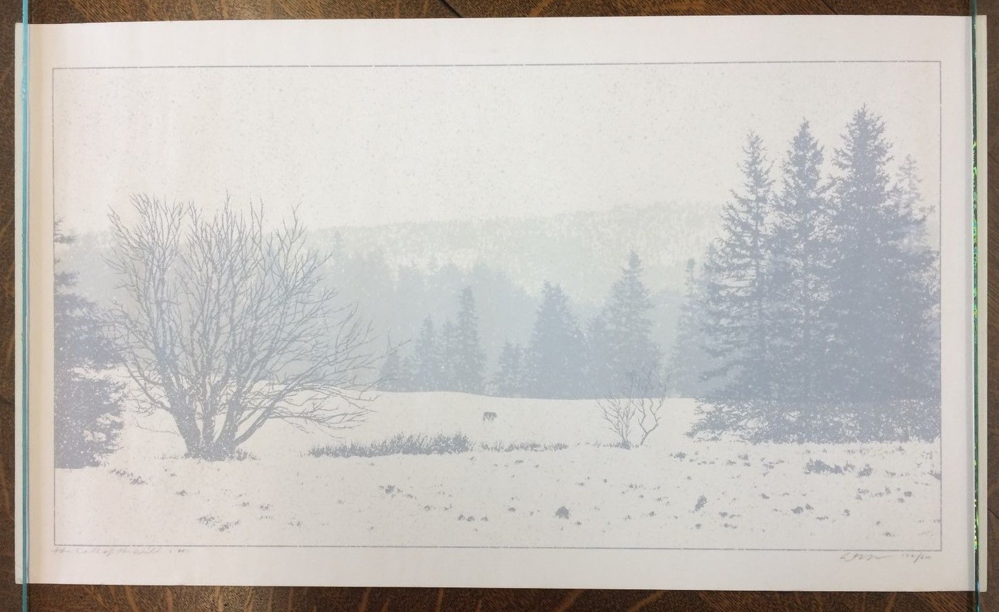 Dan McCarthy Signed Limited Edition Print #152/600 "The Call of the Wild" 14×24