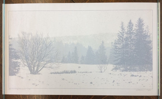 Dan McCarthy Signed Limited Edition Print #152/600 "The Call of the Wild" 14×24