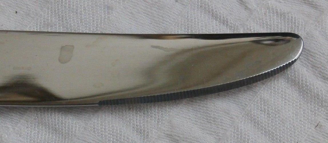 10 ONEIDA RAPHAEL STAINLESS STEEL Dinner KNIVES  retail $100